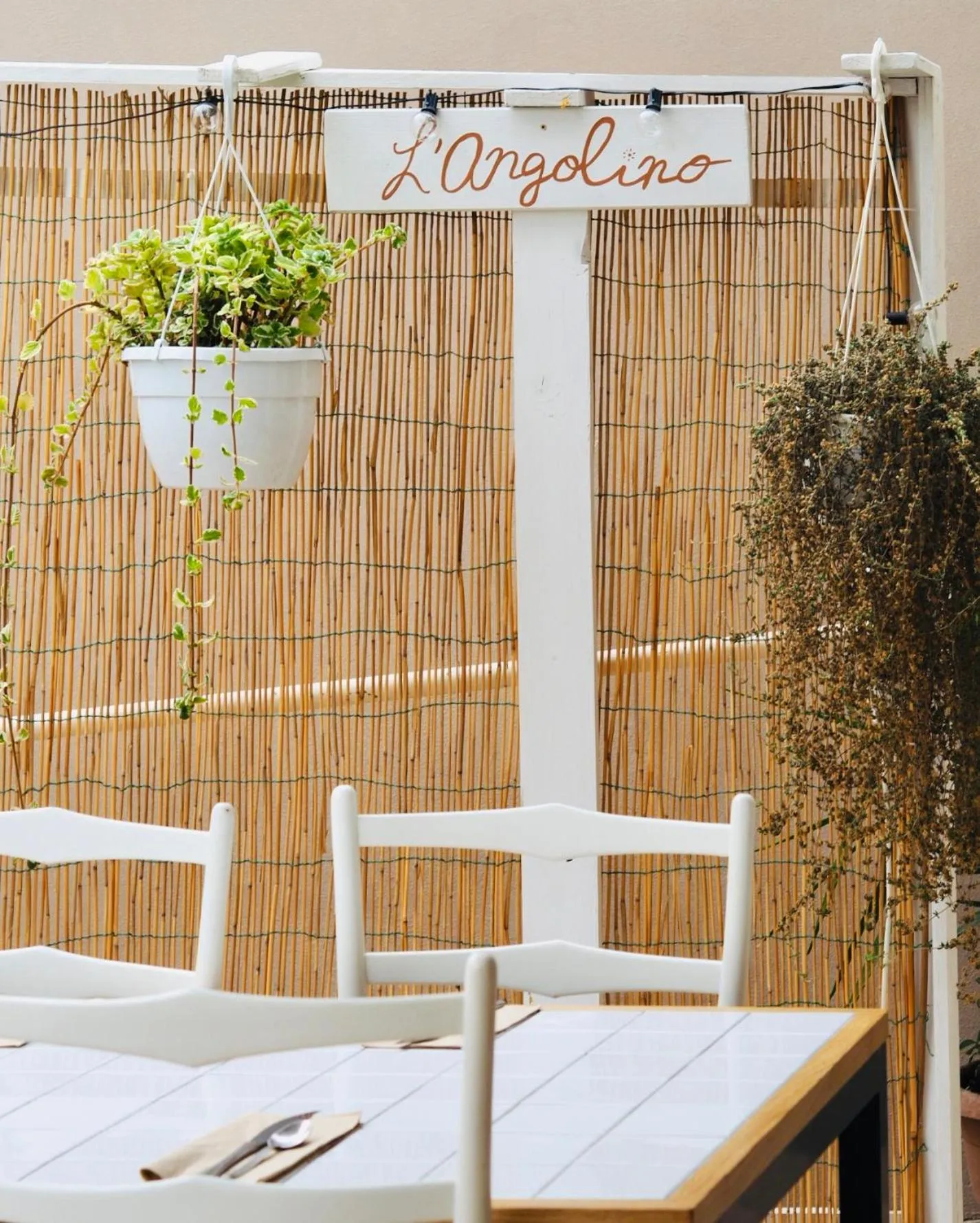 Activities in Hotel Letizia