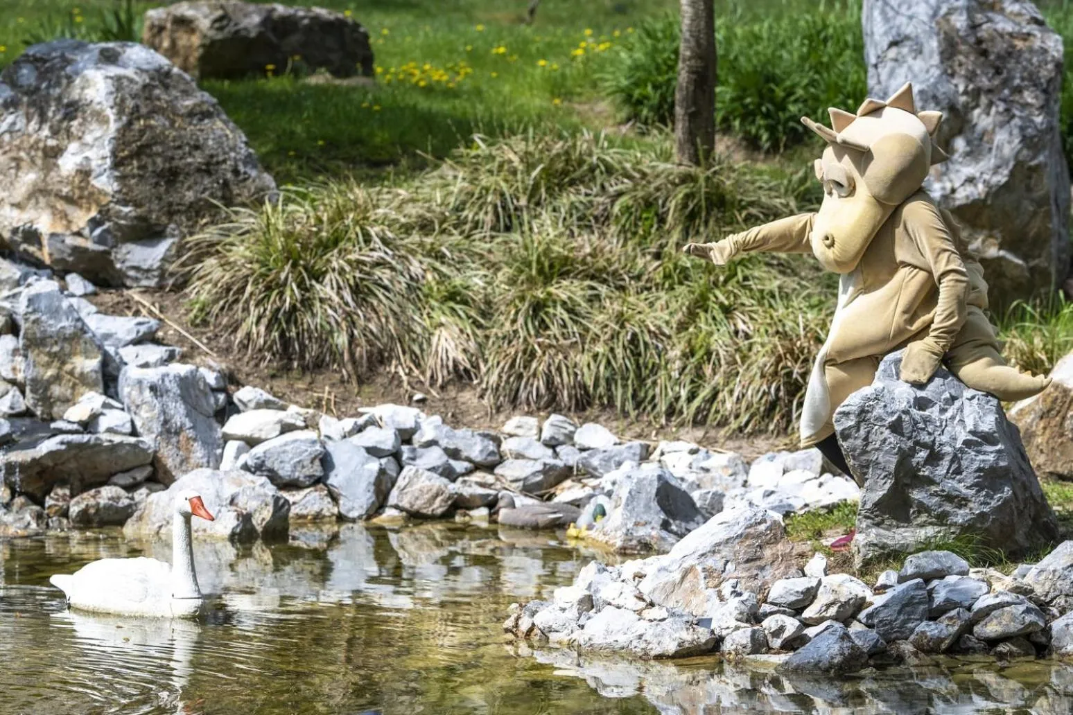 Garden in Oxigén Family Hotel Noszvaj