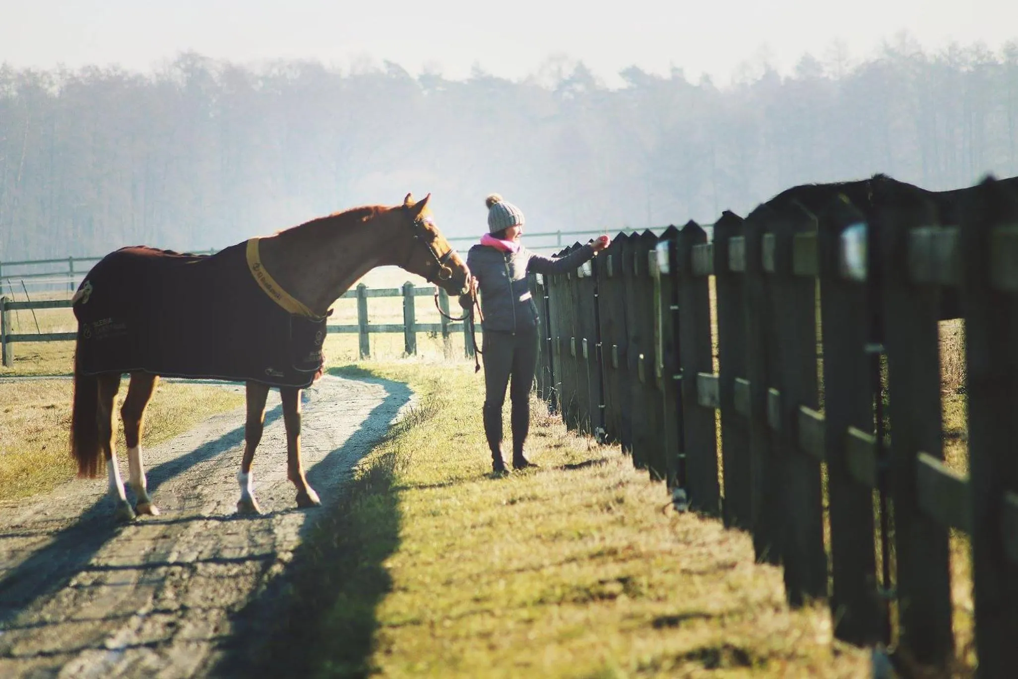 Horse-riding in Hotel Jakubus