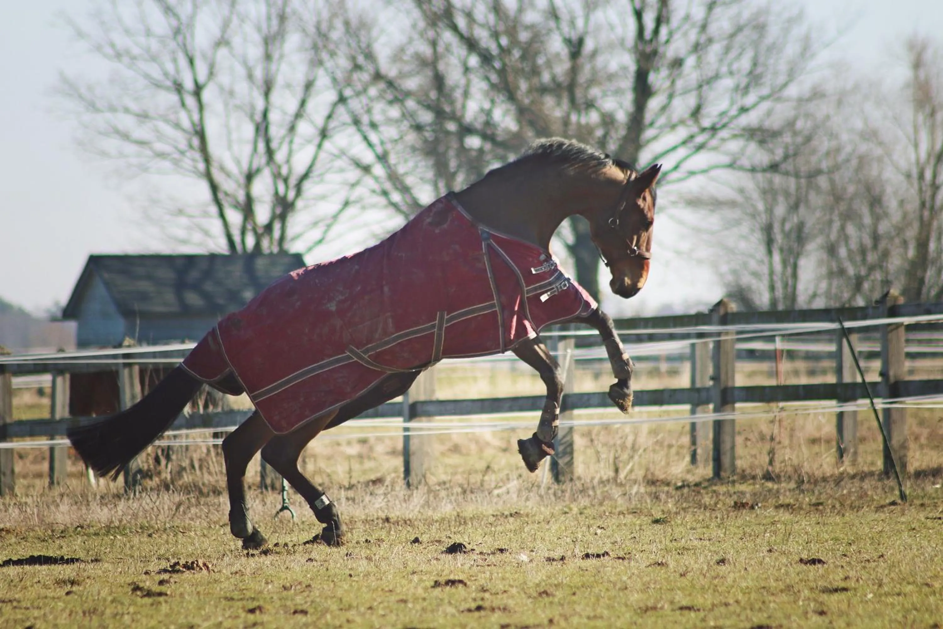 Horse-riding in Hotel Jakubus