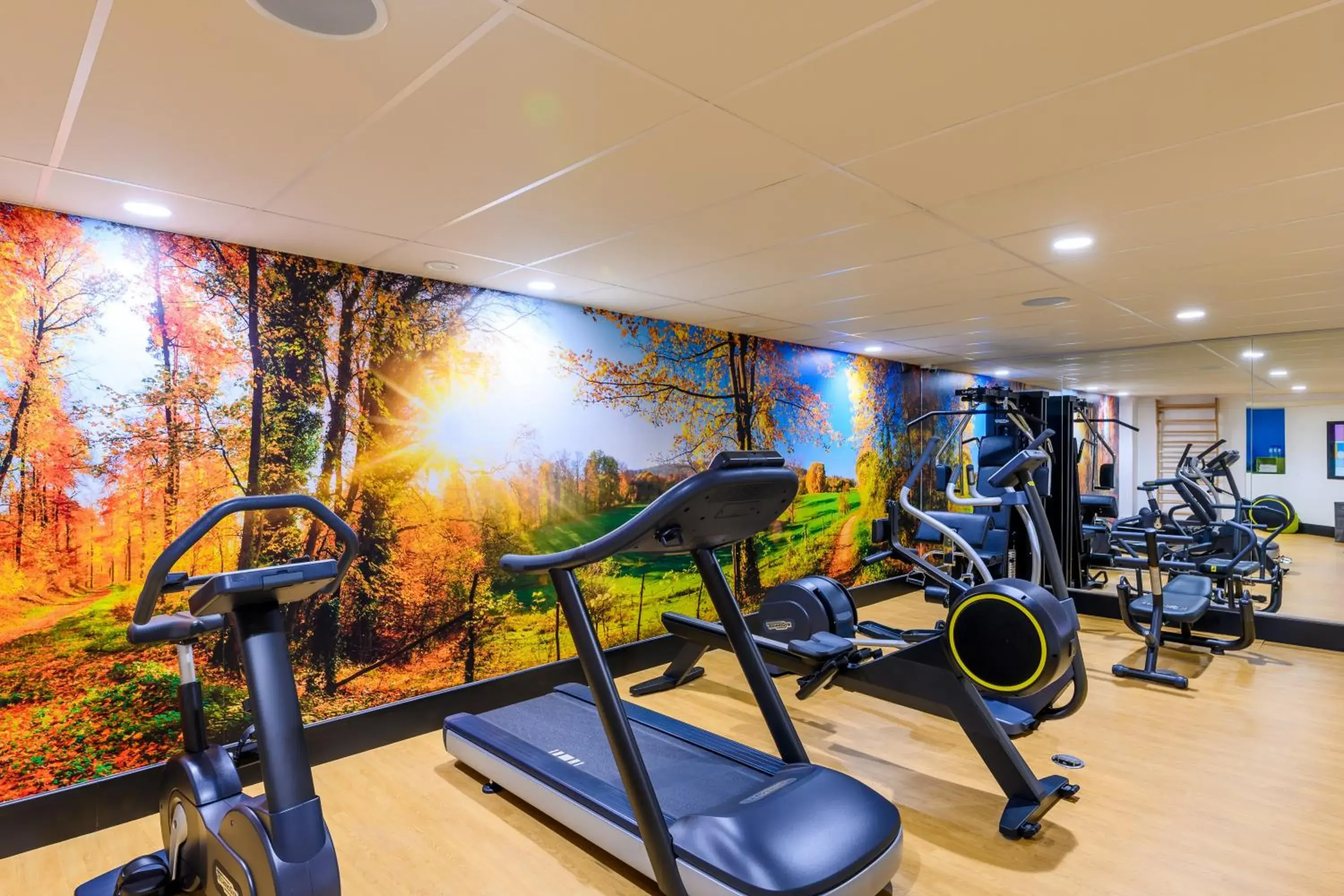 Fitness centre/facilities in Kyriad Prestige Amiens Poulainville - Hotel and Spa Fitness centre/facilities in Kyriad Prestige Amiens Poulainville - Hotel and Spa