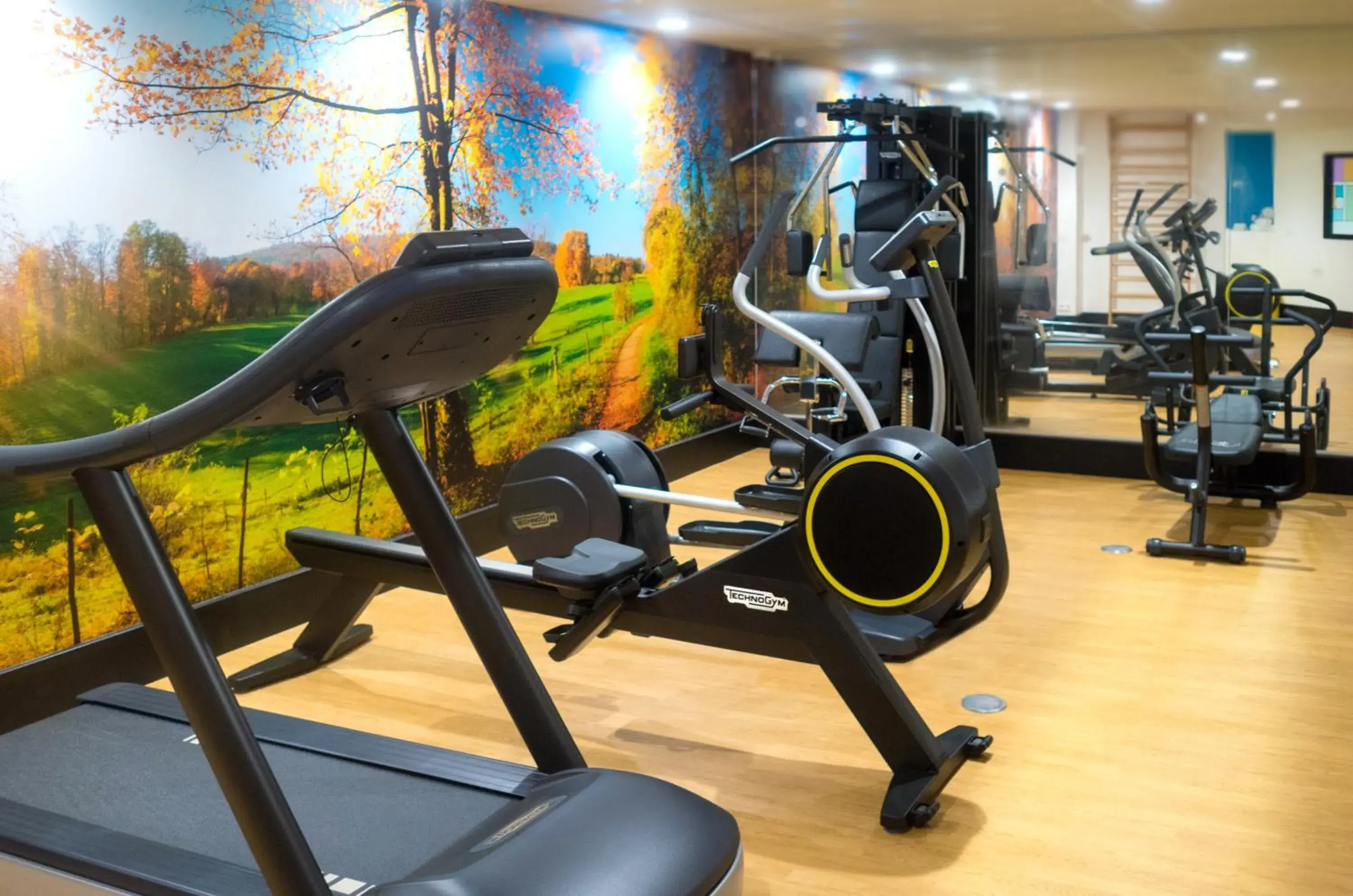 Fitness centre/facilities in Kyriad Prestige Amiens Poulainville - Hotel and Spa Fitness centre/facilities in Kyriad Prestige Amiens Poulainville - Hotel and Spa