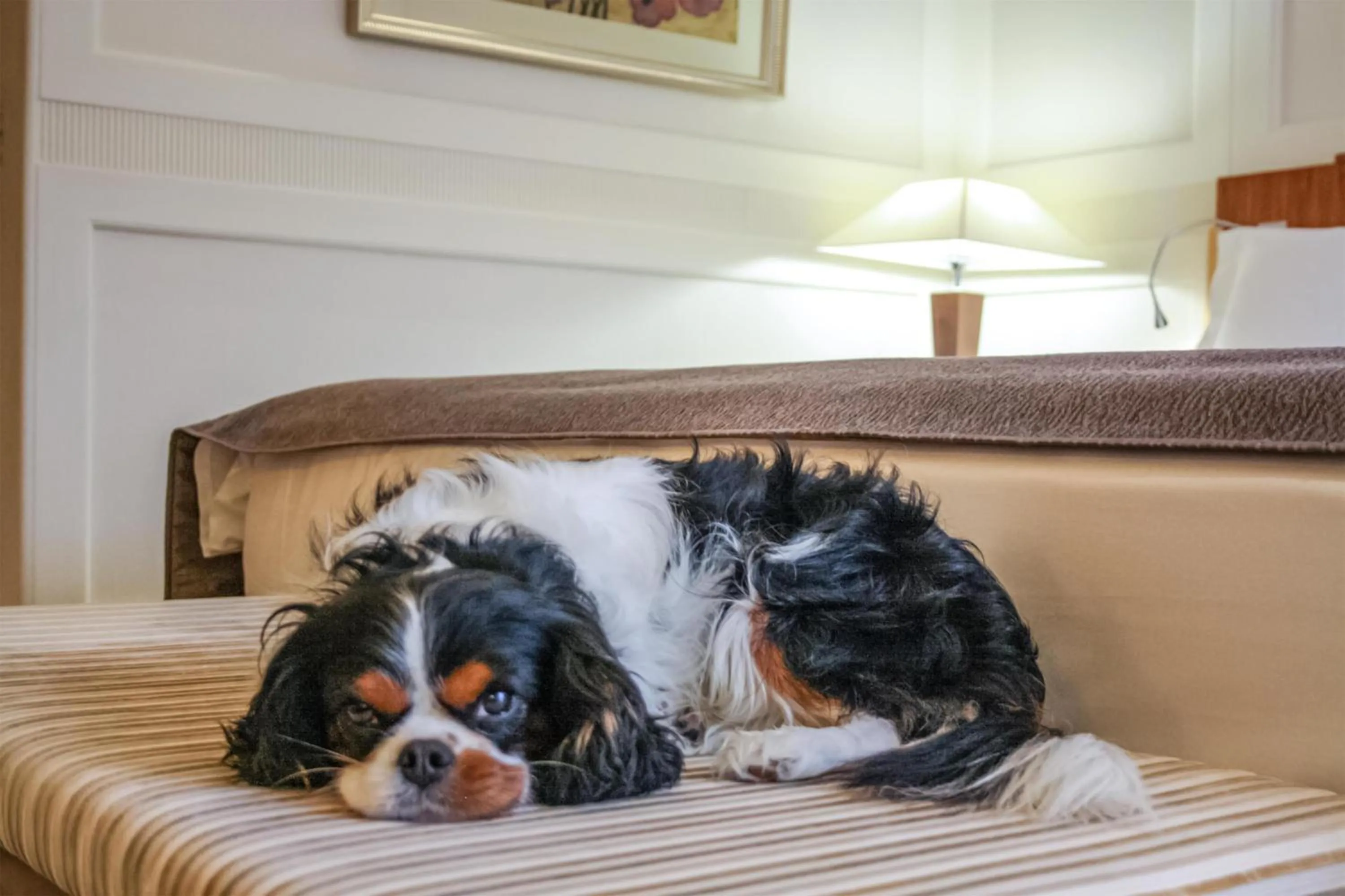 Other, Bed in Hotel Kempinski Palace Portorož