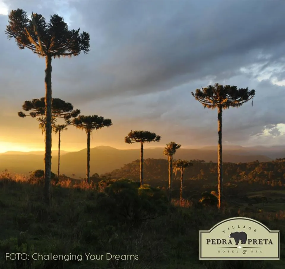 Garden in Pousada Pedra Preta