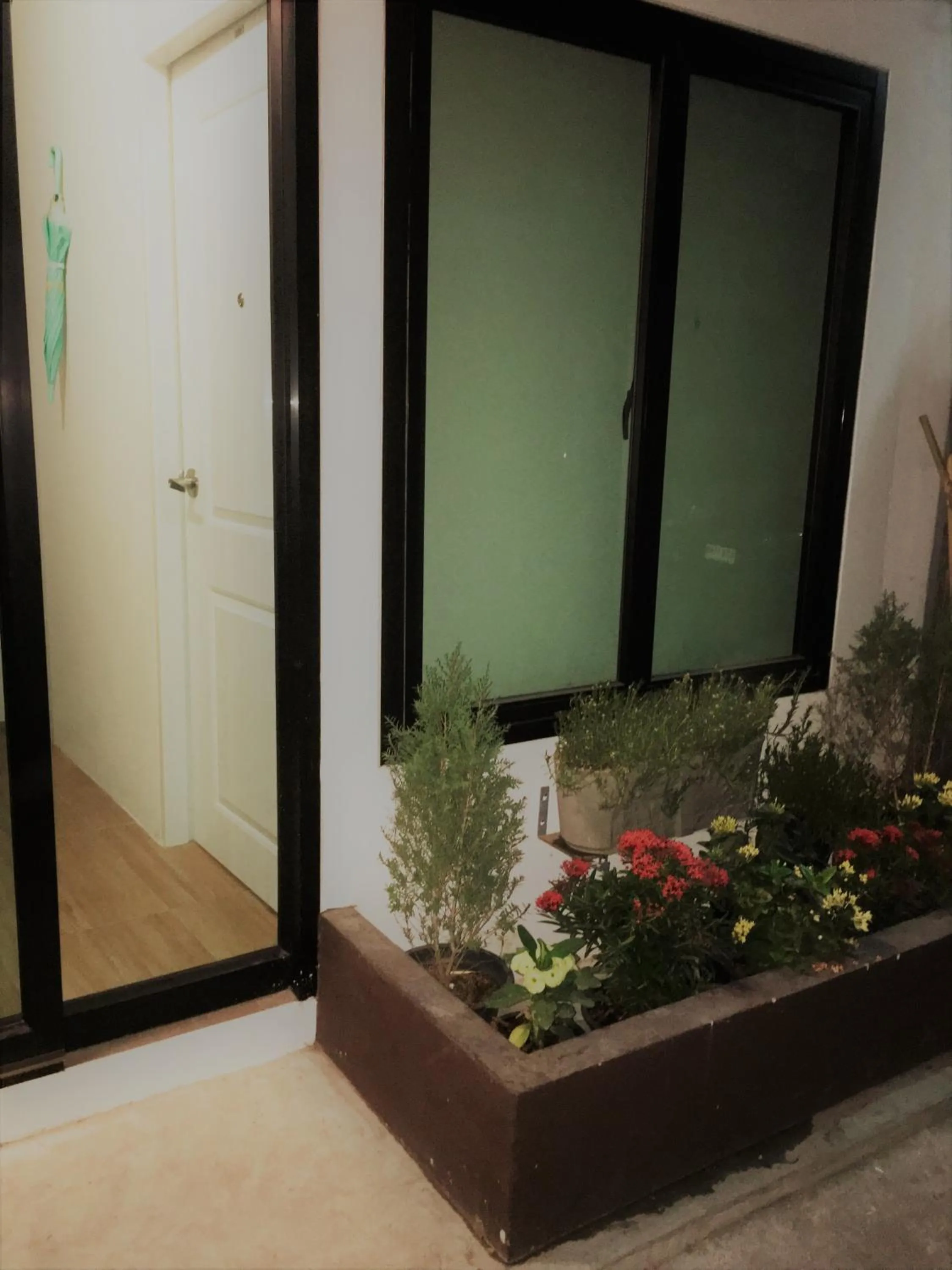 Garden in Live like a local in Ekkamai