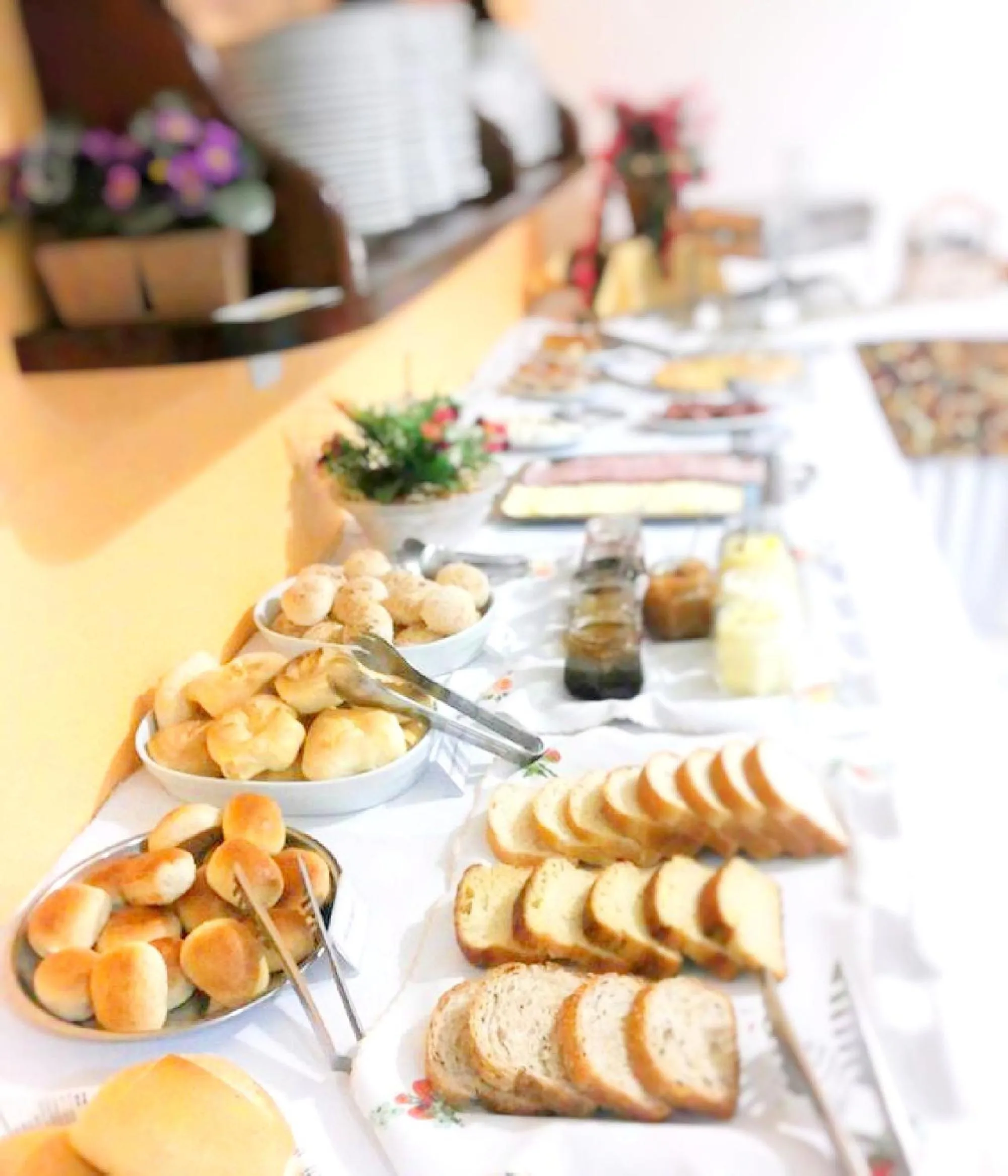 Food and drinks in Urubici Park Hotel