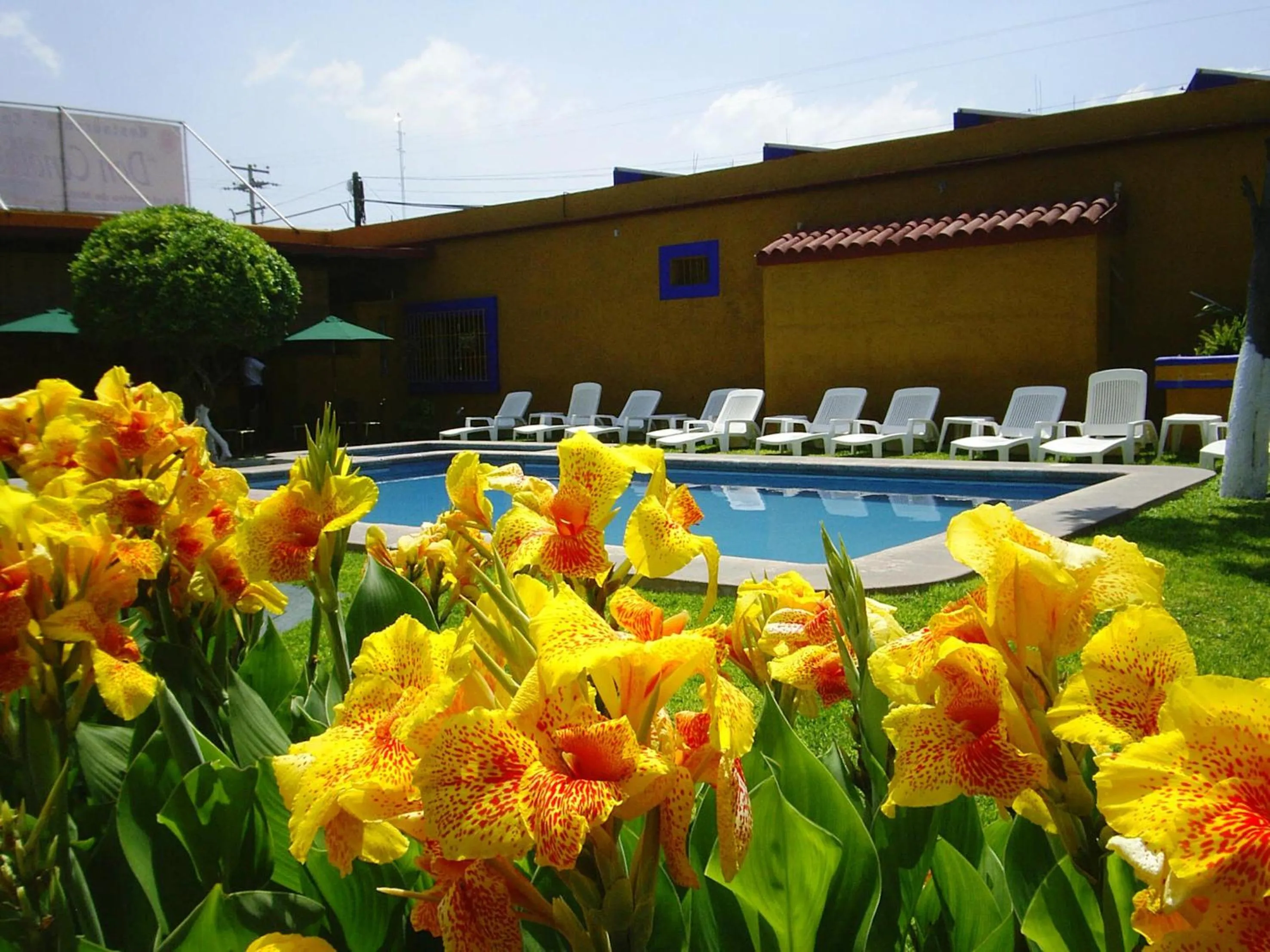 Swimming pool in Hotel Hacienda Don Cenobio