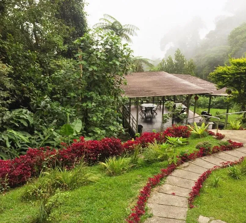 Garden in J Residence
