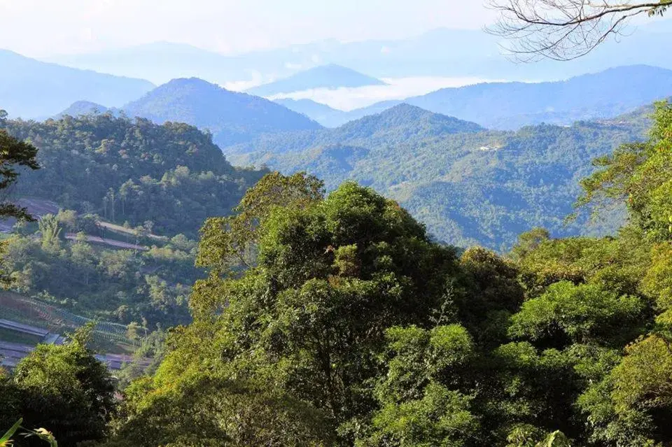 Property building in J Residence Property building in J Residence