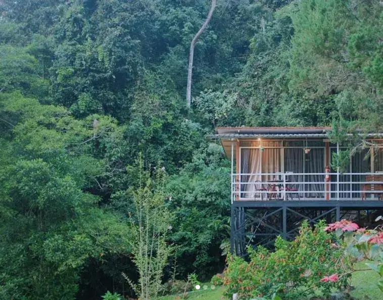 Garden view in J Residence Garden view in J Residence