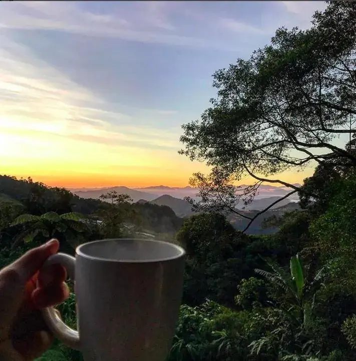 Garden view in J Residence Garden view in J Residence