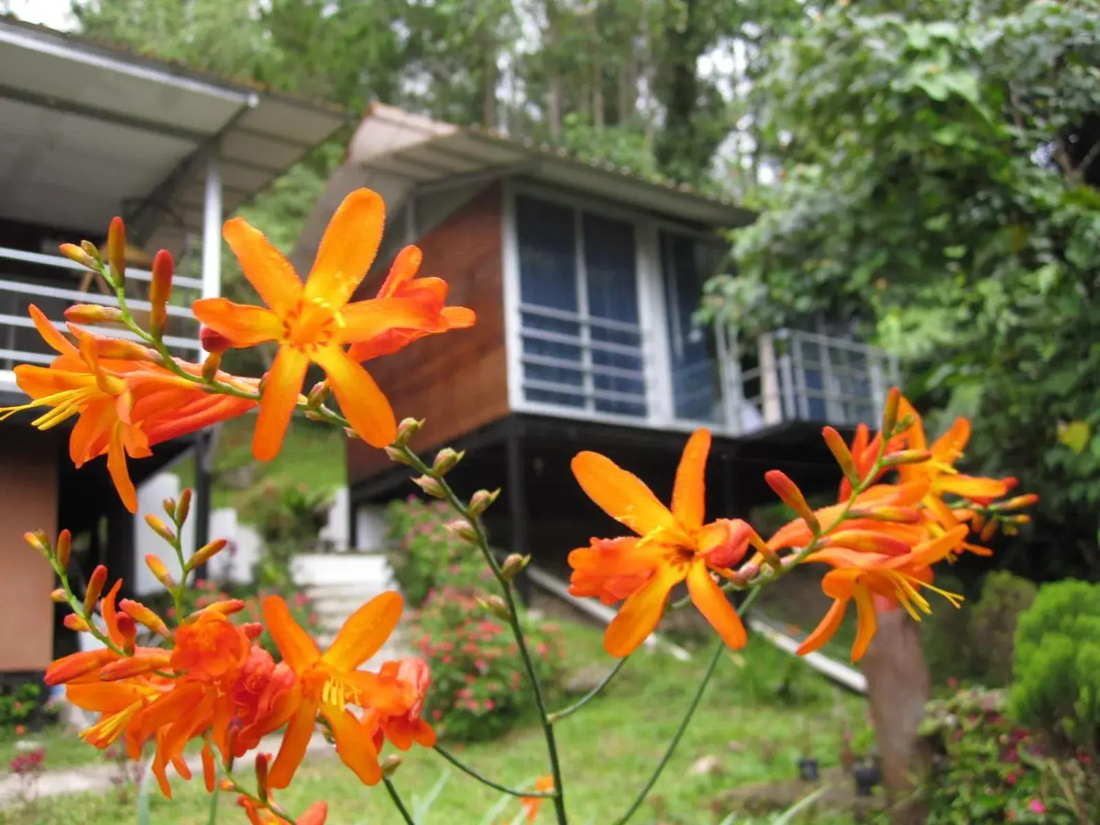 Property building in J Residence Property building in J Residence