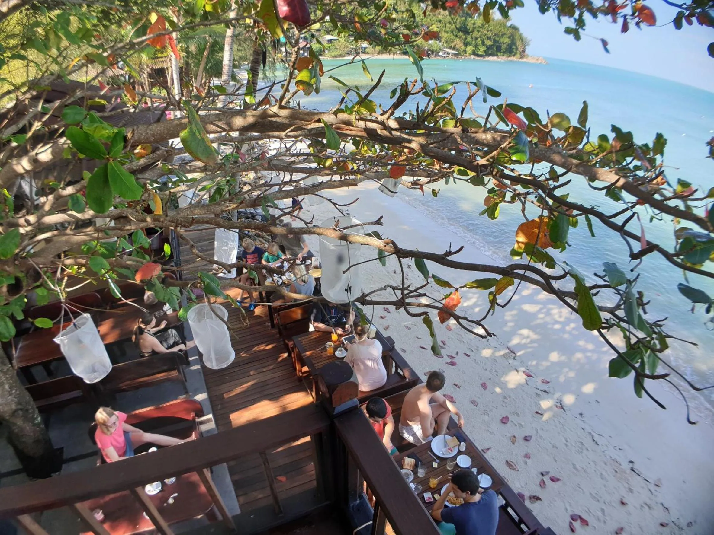 Restaurant/places to eat in Salad Hut