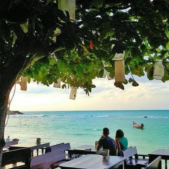 Restaurant/places to eat in Salad Hut