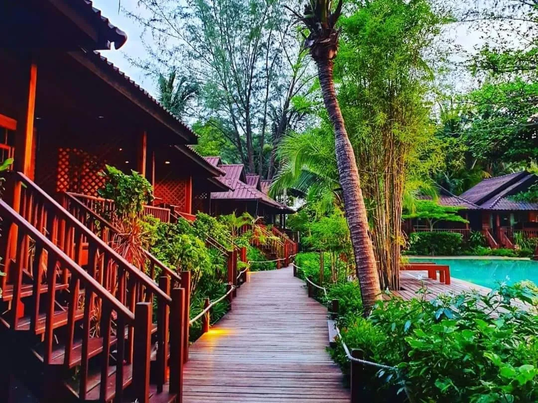 Property building in Salad Hut