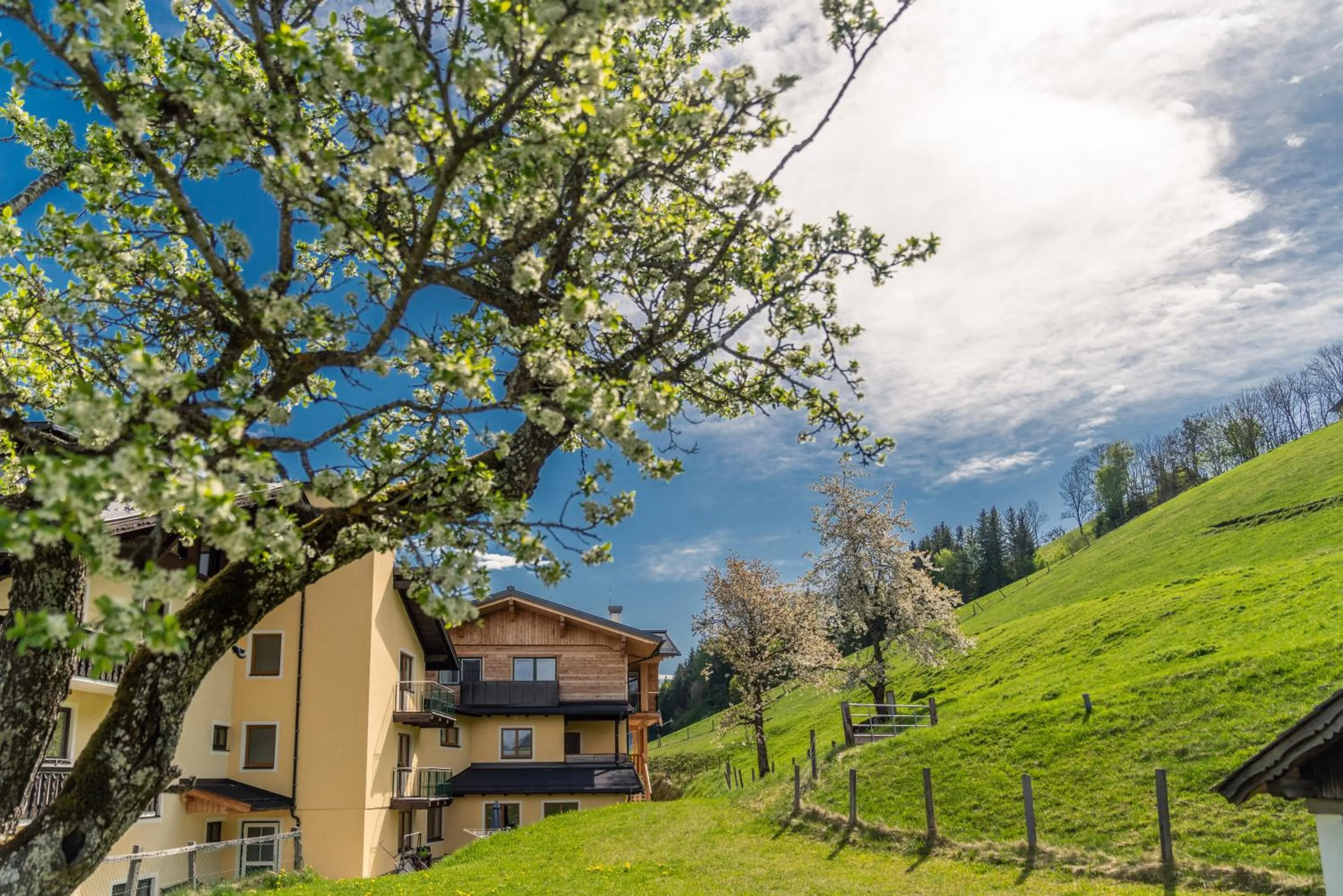 Property building in Hotel Starchlhof