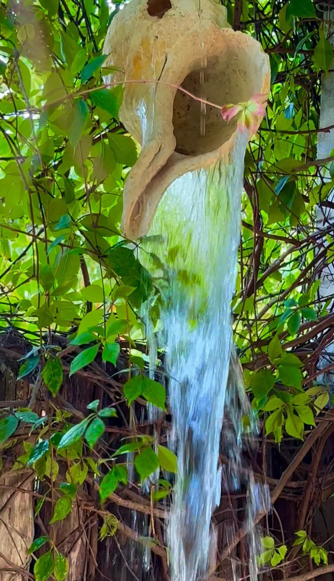 Pool view in Hotel Jaiba Mahahual - Adults Only