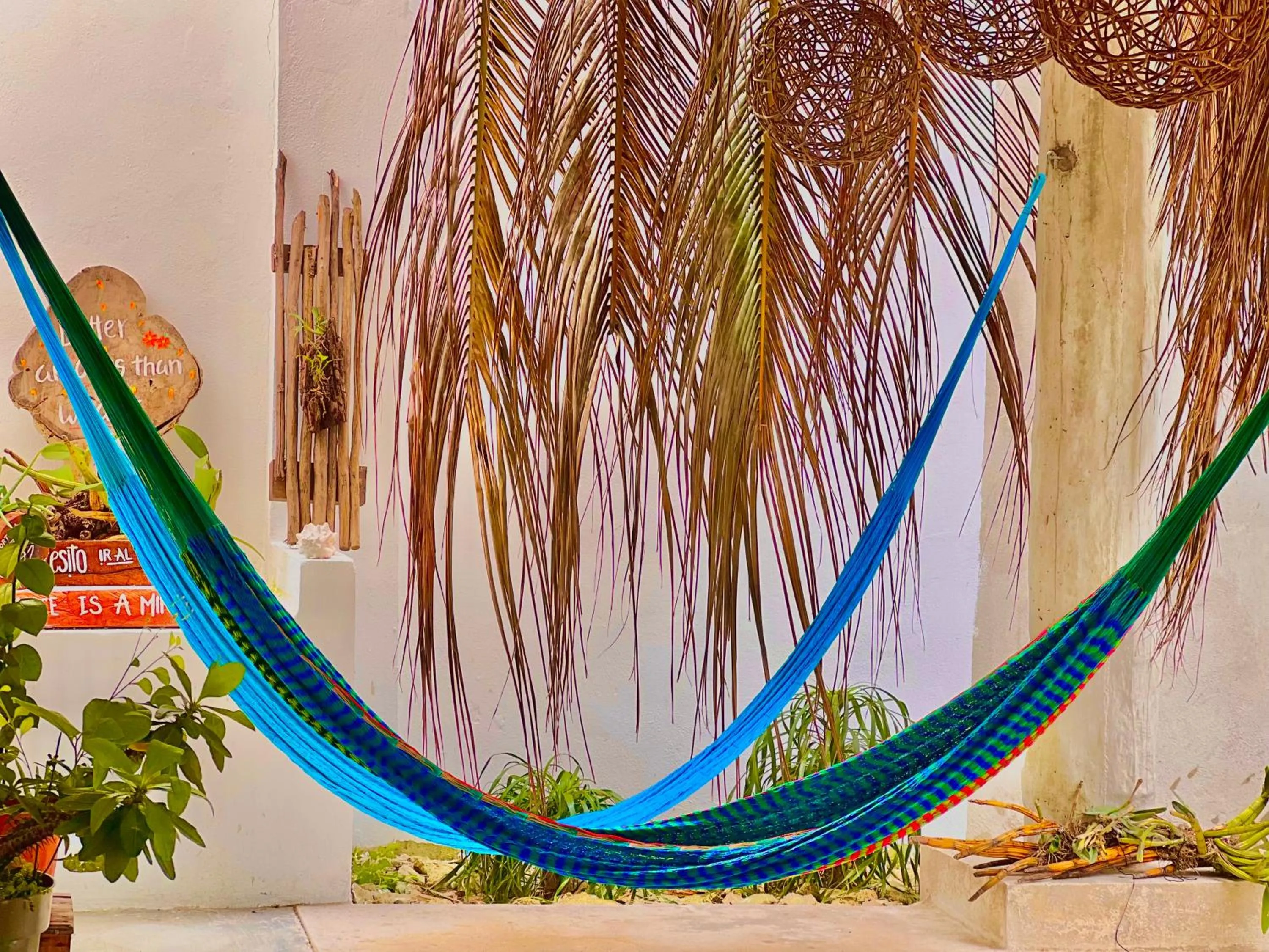 Garden in Hotel Jaiba Mahahual - Adults Only