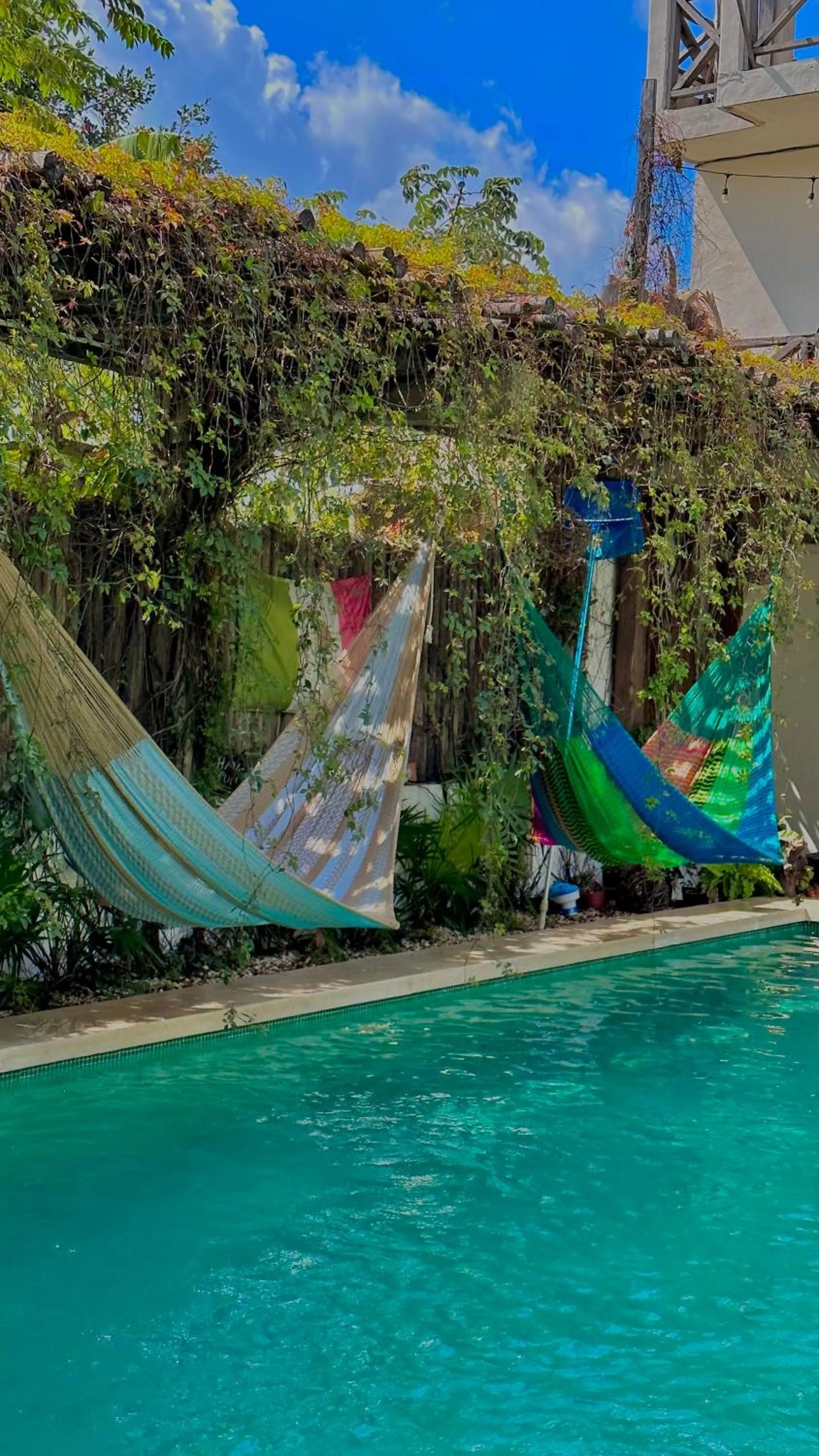 Day in Hotel Jaiba Mahahual - Adults Only