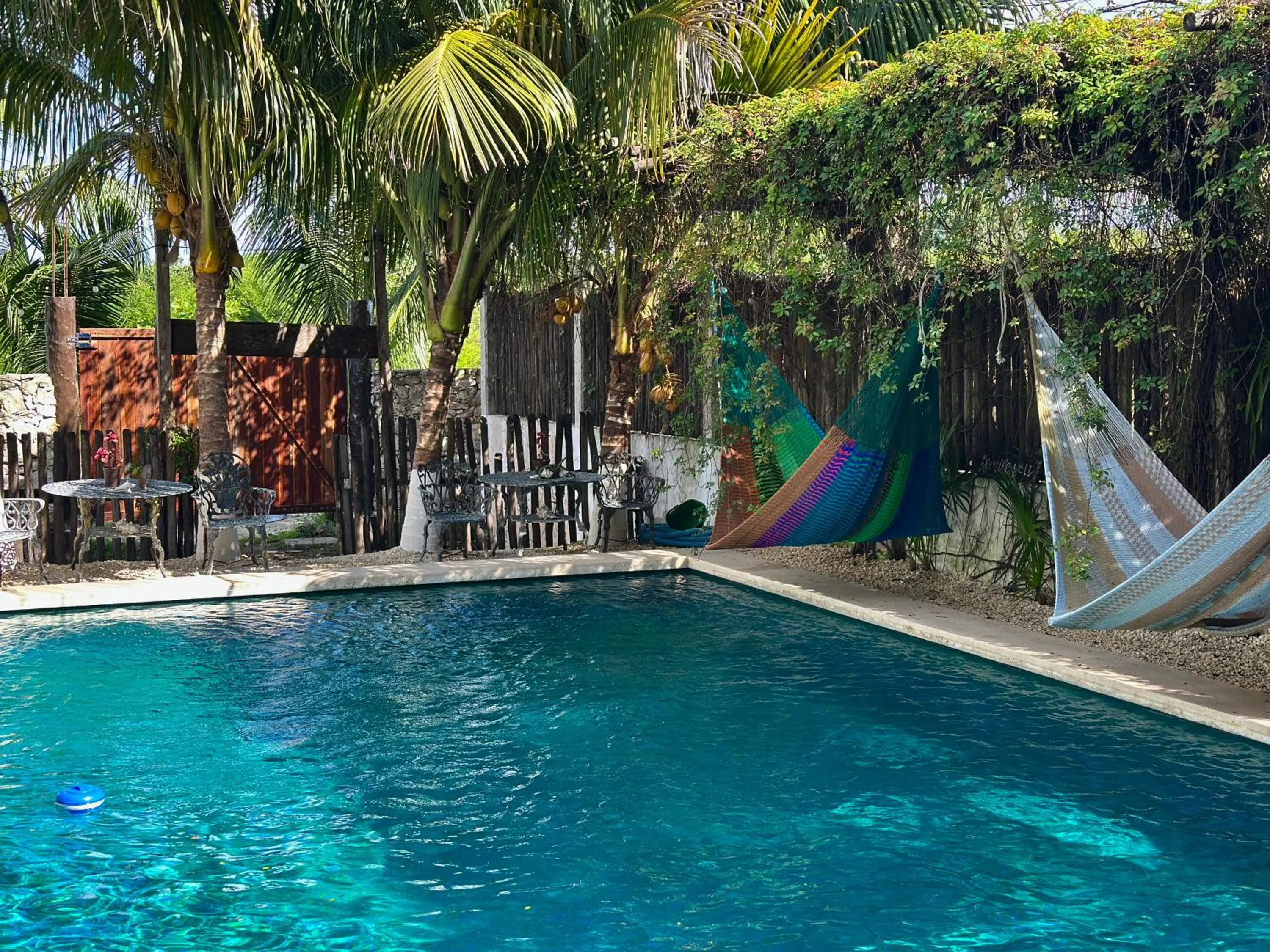 Day in Hotel Jaiba Mahahual - Adults Only