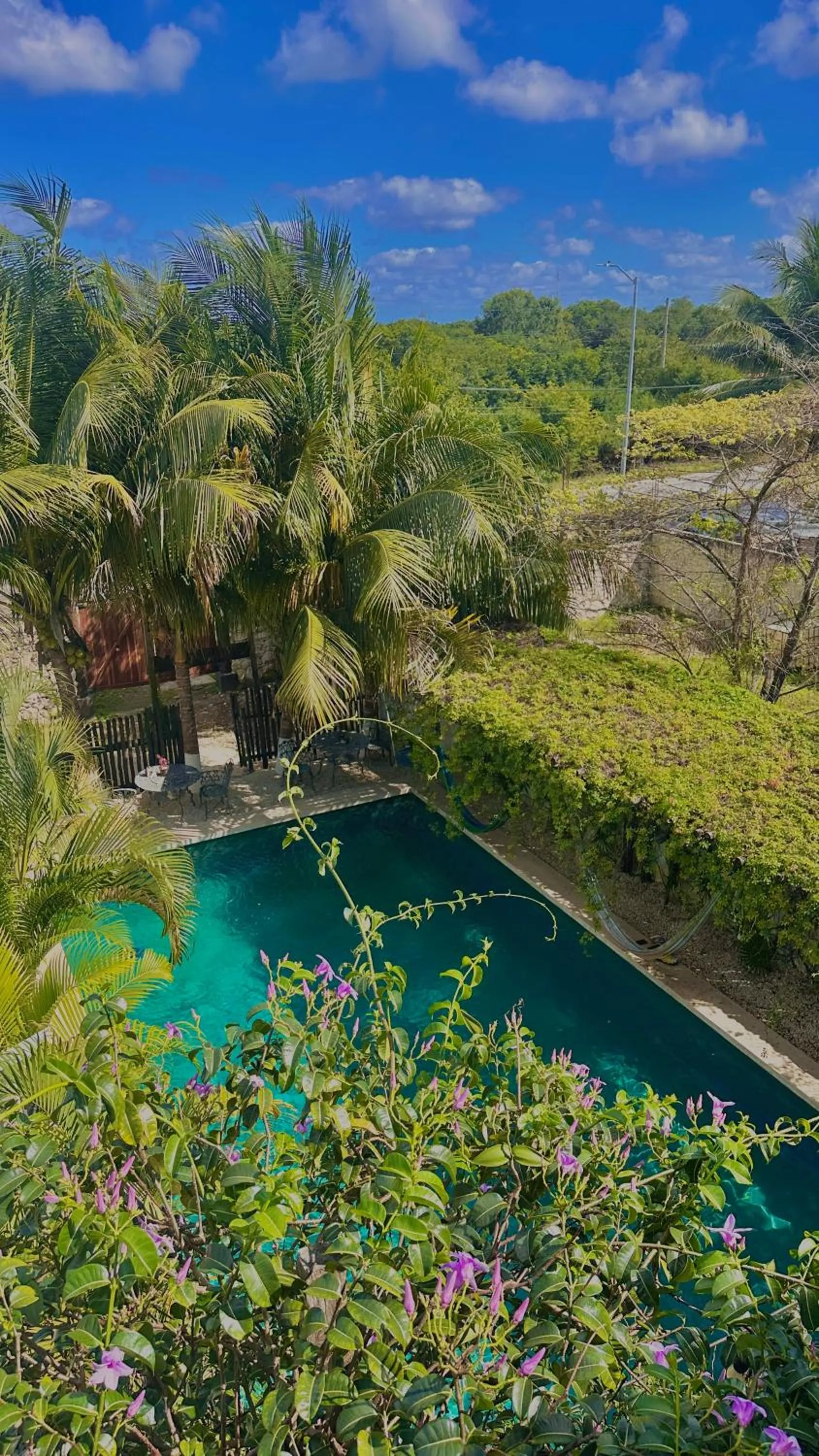 Swimming pool in Hotel Jaiba Mahahual - Adults Only