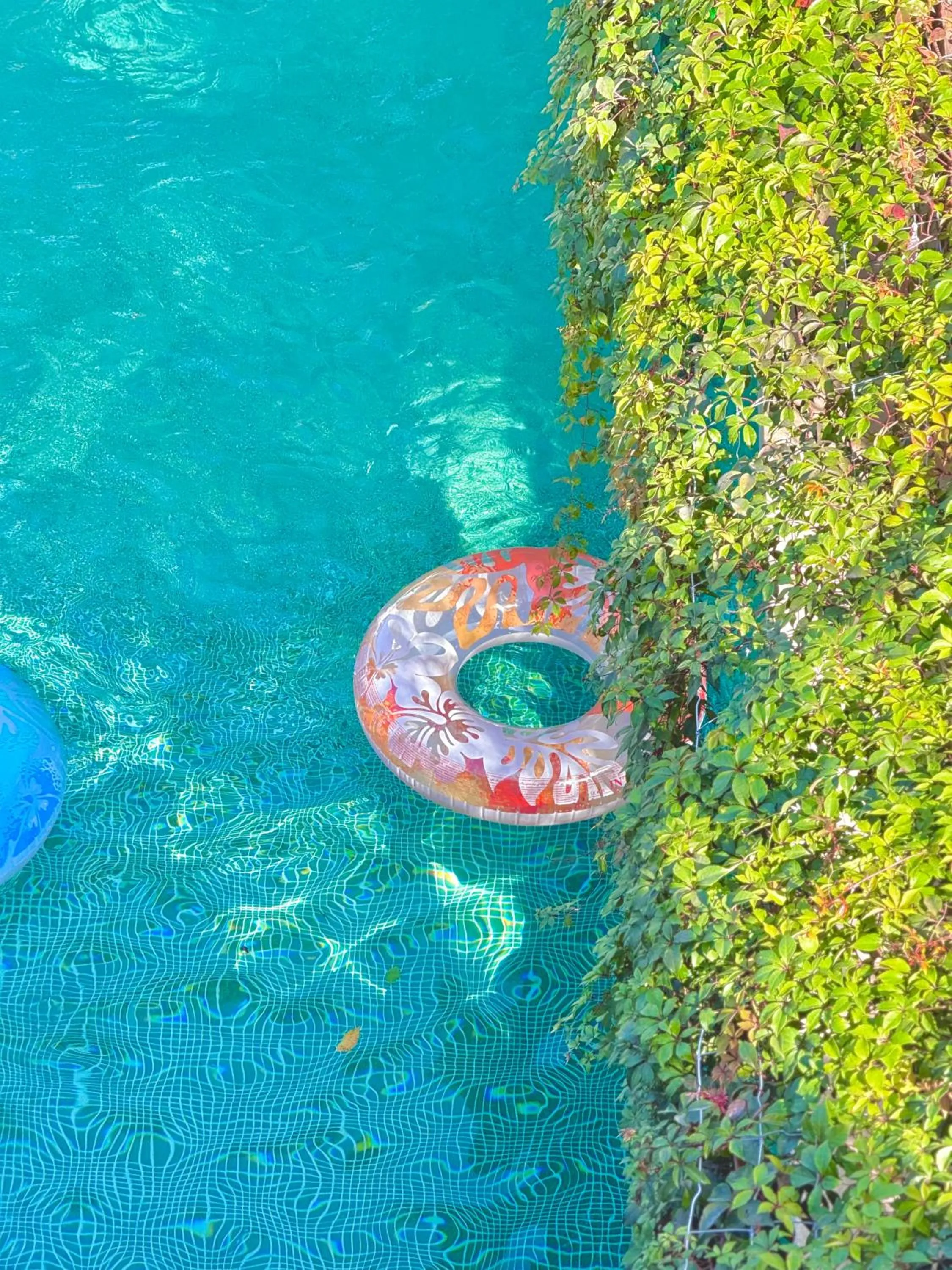 Day in Hotel Jaiba Mahahual - Adults Only