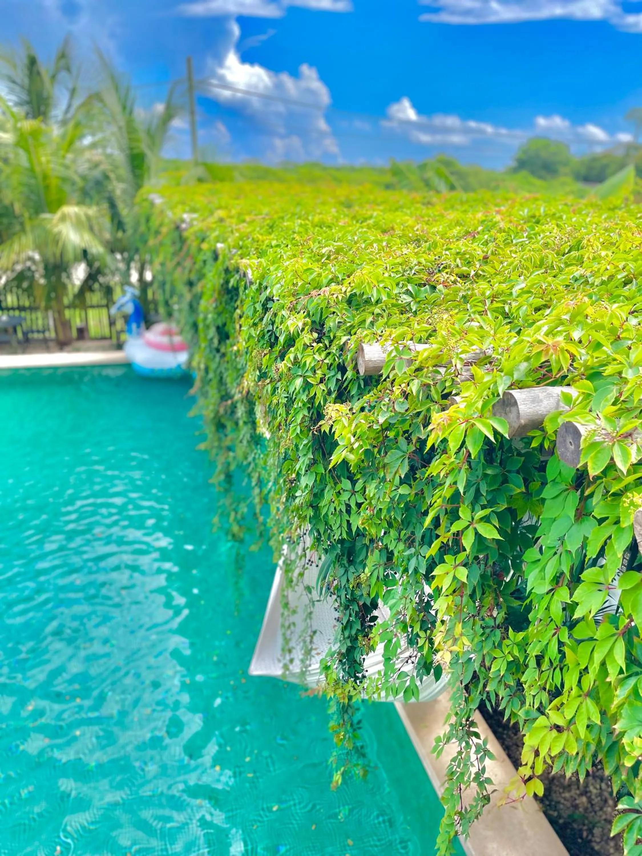 View (from property/room) in Hotel Jaiba Mahahual - Adults Only