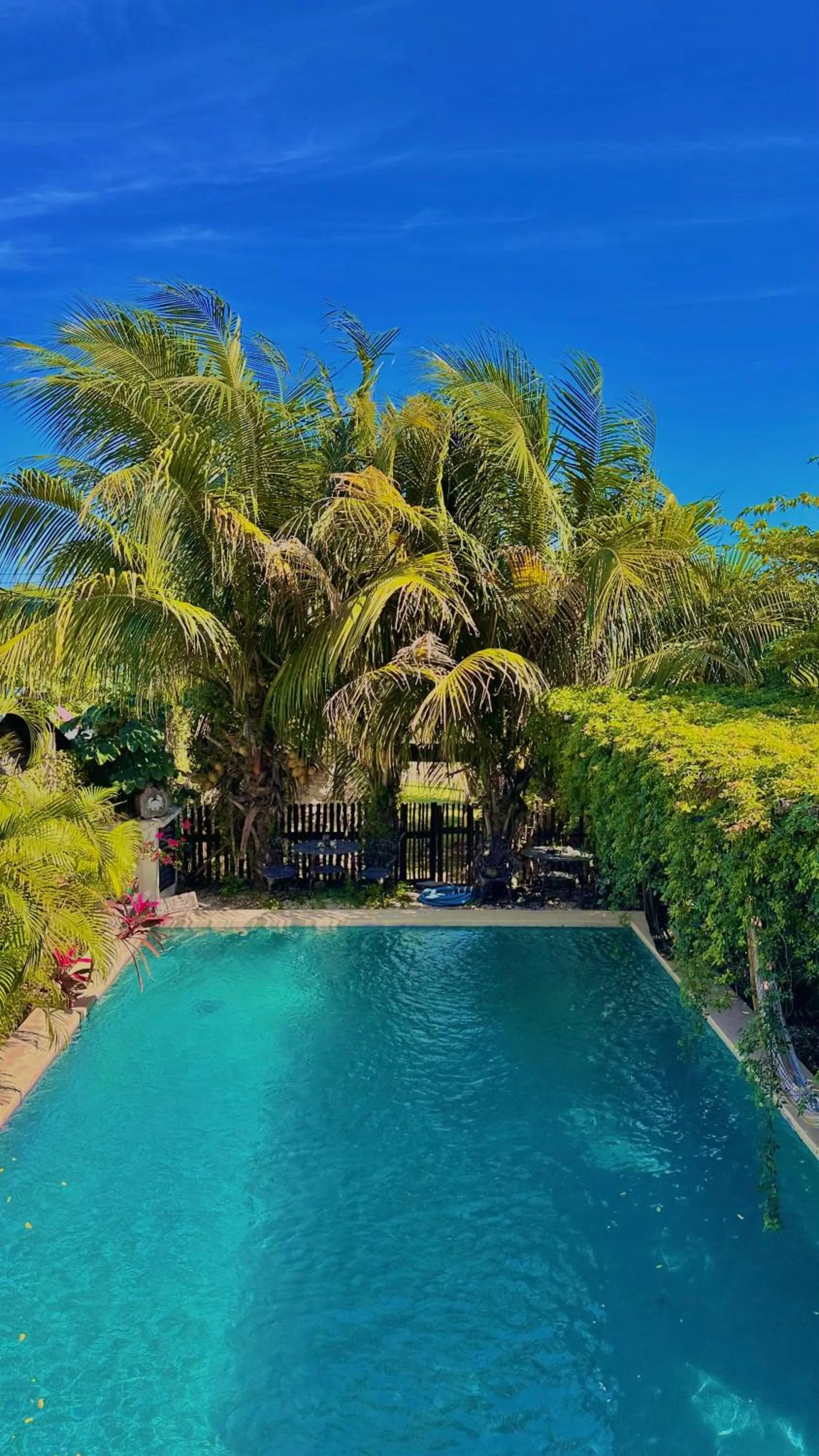 Day in Hotel Jaiba Mahahual - Adults Only