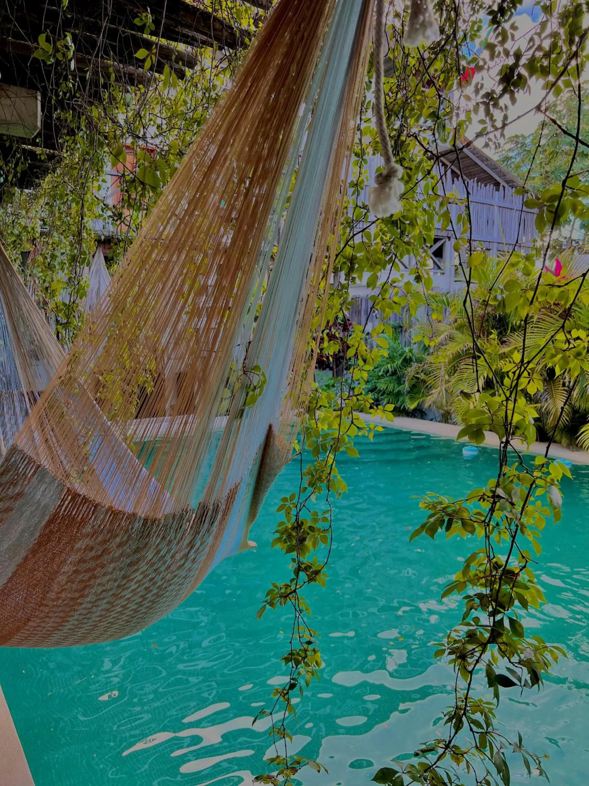 Day in Hotel Jaiba Mahahual - Adults Only