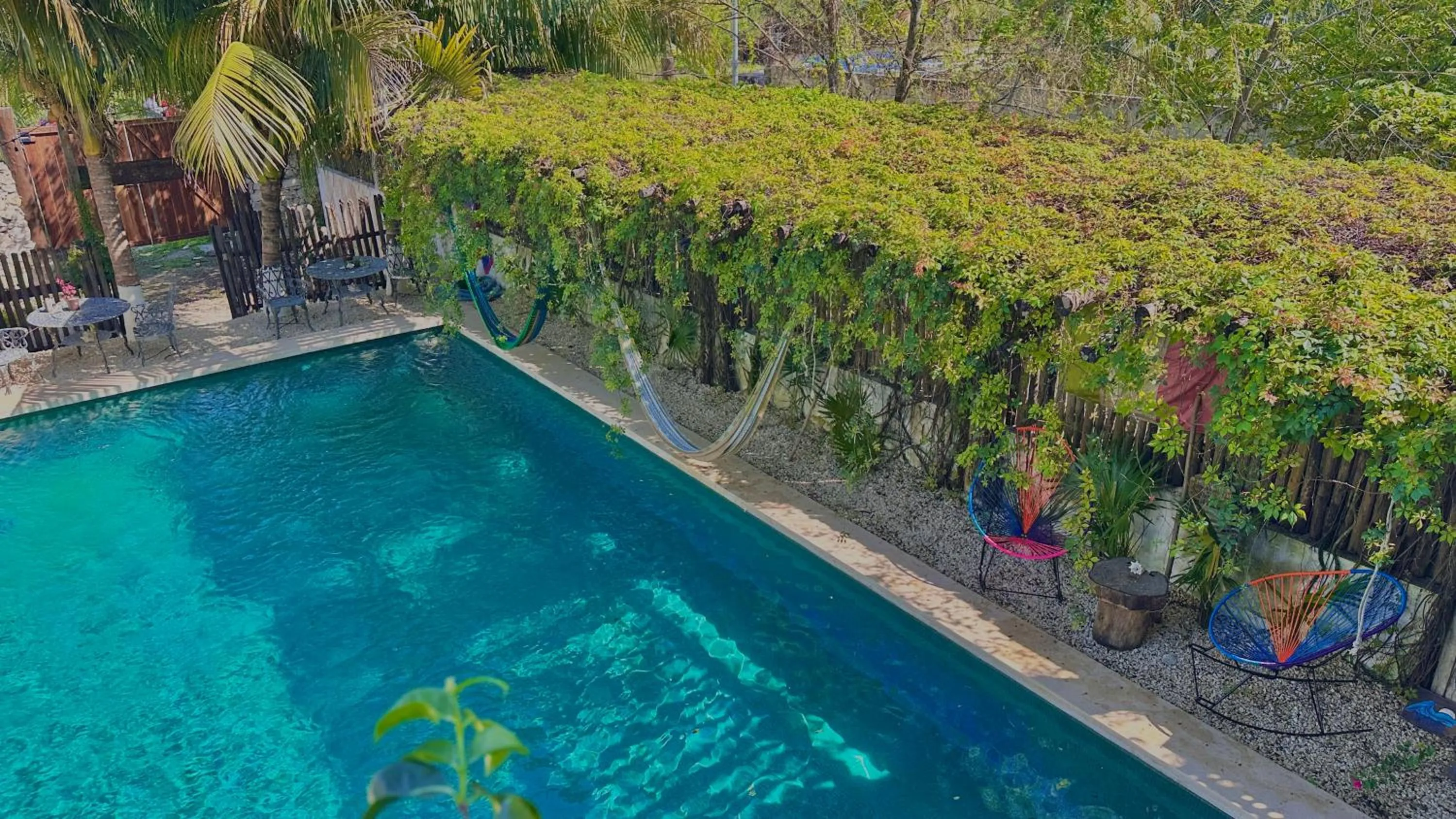 Swimming pool in Hotel Jaiba Mahahual - Adults Only