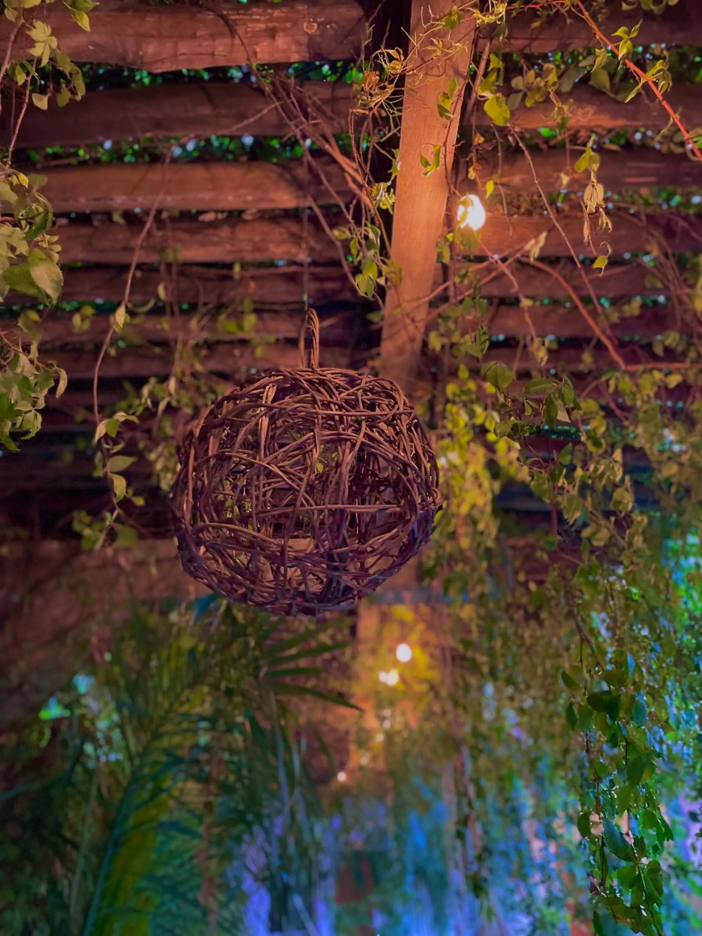 Swimming pool in Hotel Jaiba Mahahual - Adults Only