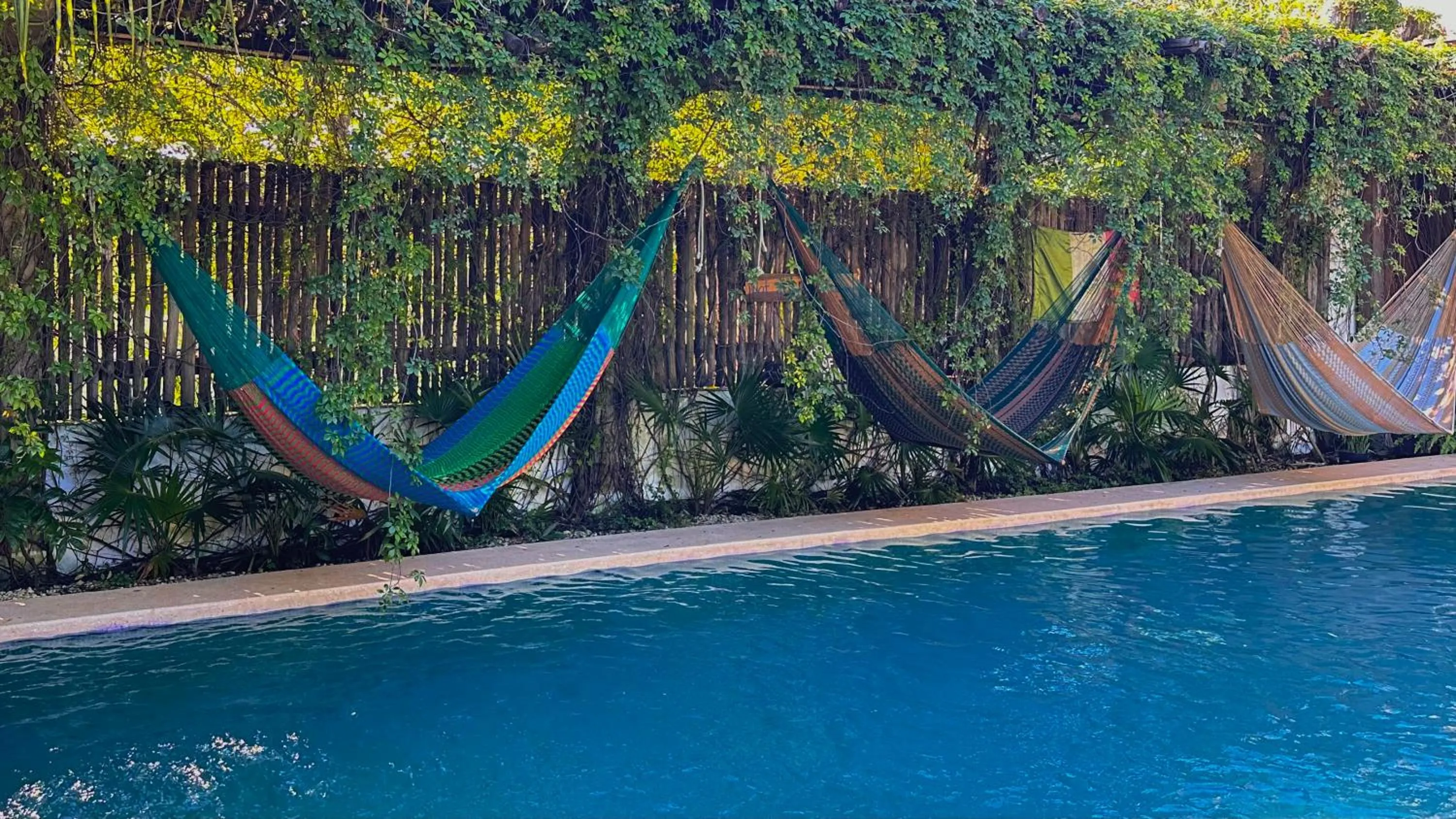 Day in Hotel Jaiba Mahahual - Adults Only