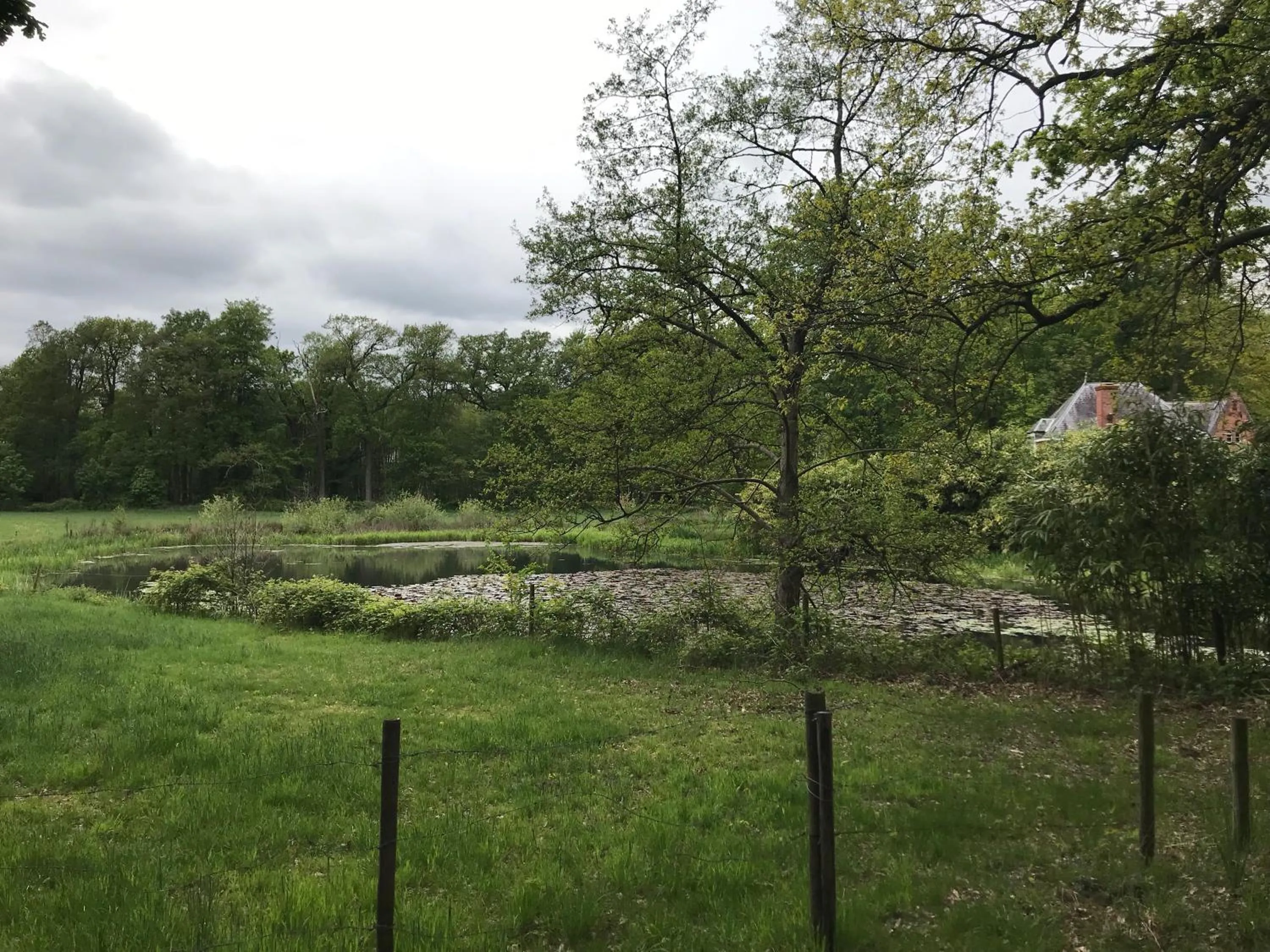Natural landscape in B&B 'het Gripshuis'