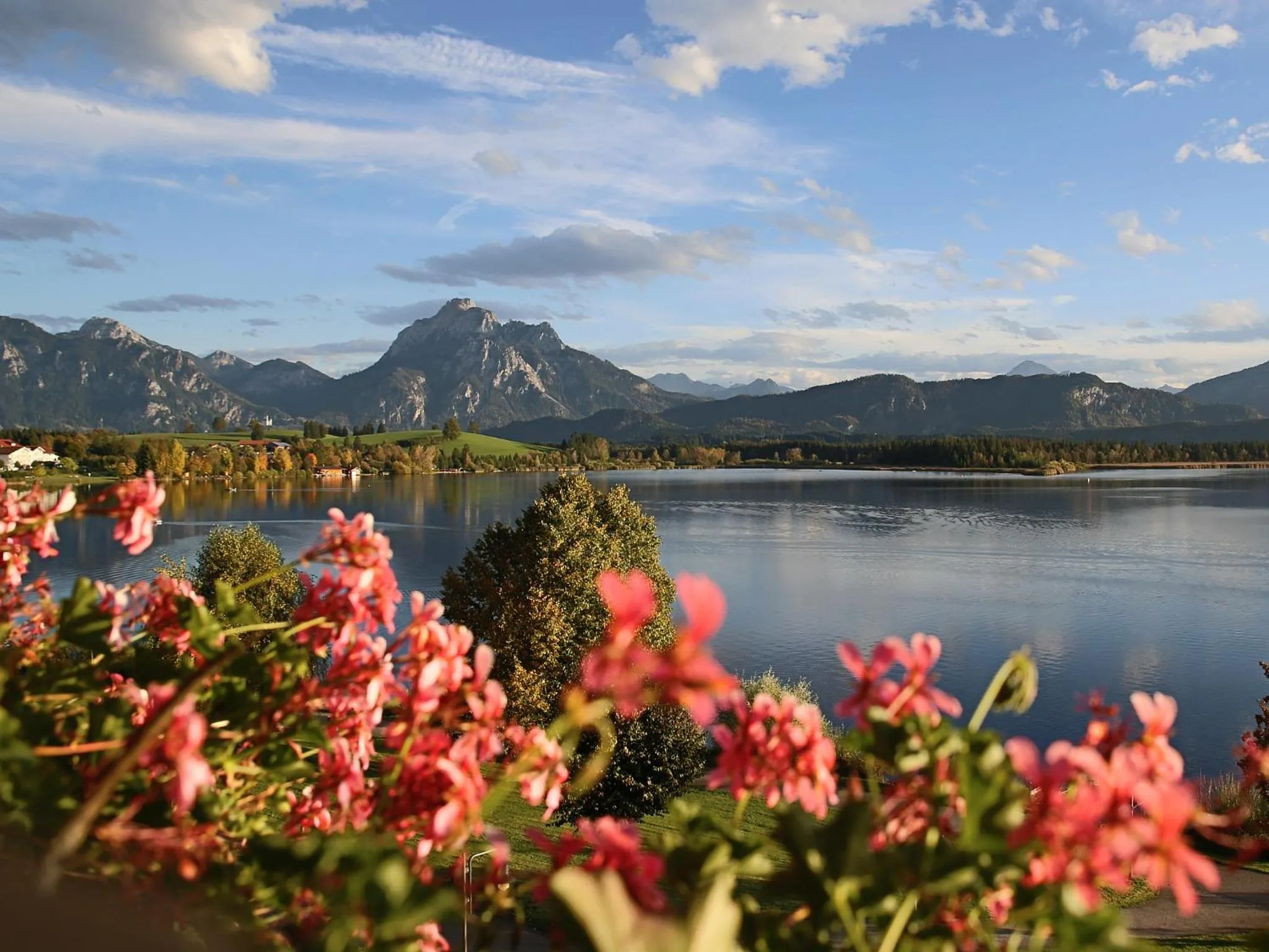 Balcony/Terrace in Seehotel Hartung & Ferienappartements