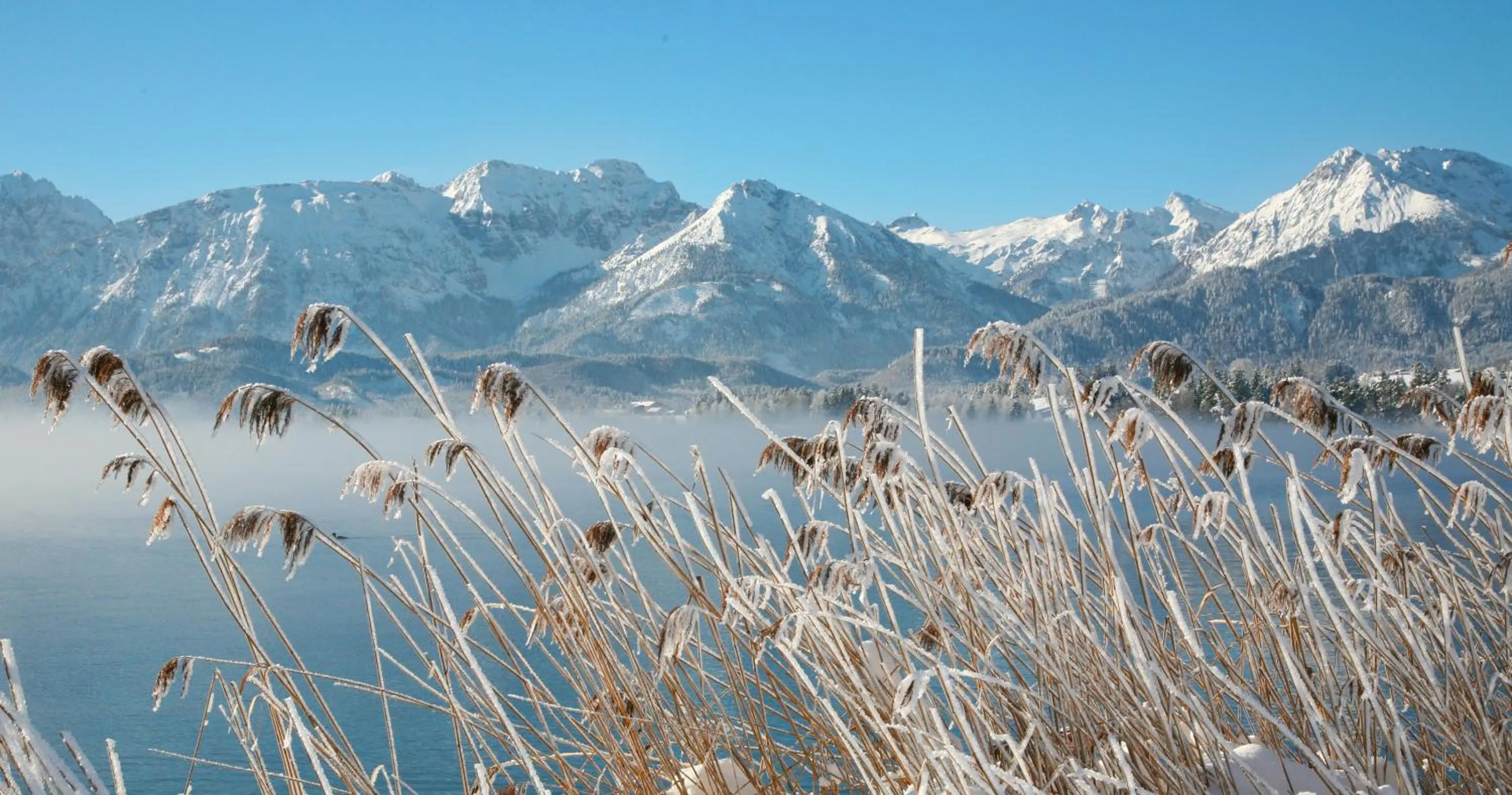 Area and facilities in Seehotel Hartung & Ferienappartements