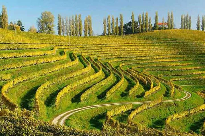 Day in Garni Hotel Villa Tamara