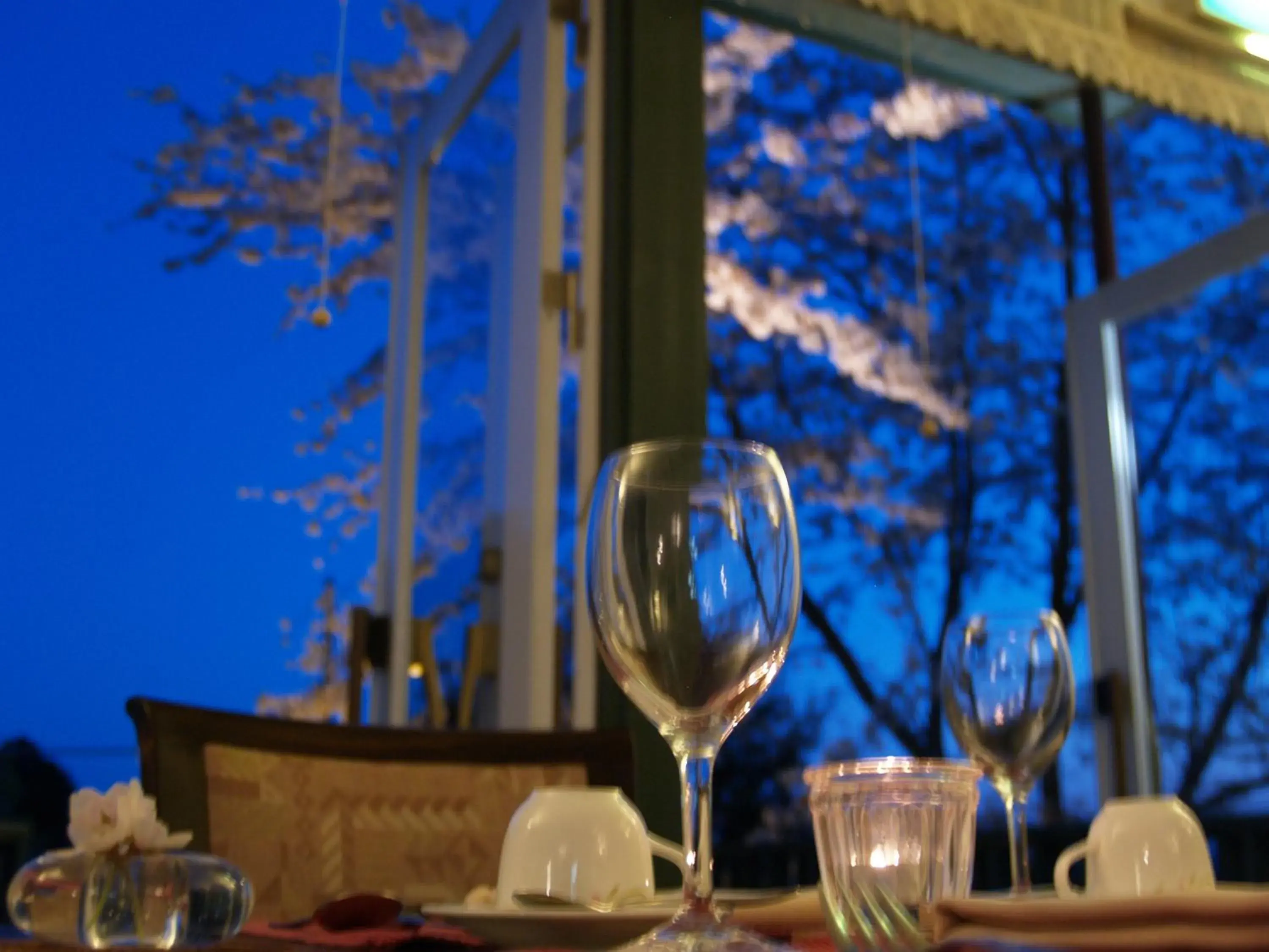 Restaurant/places to eat in Petit Resort Hotel Alcyon Restaurant/places to eat in Petit Resort Hotel Alcyon