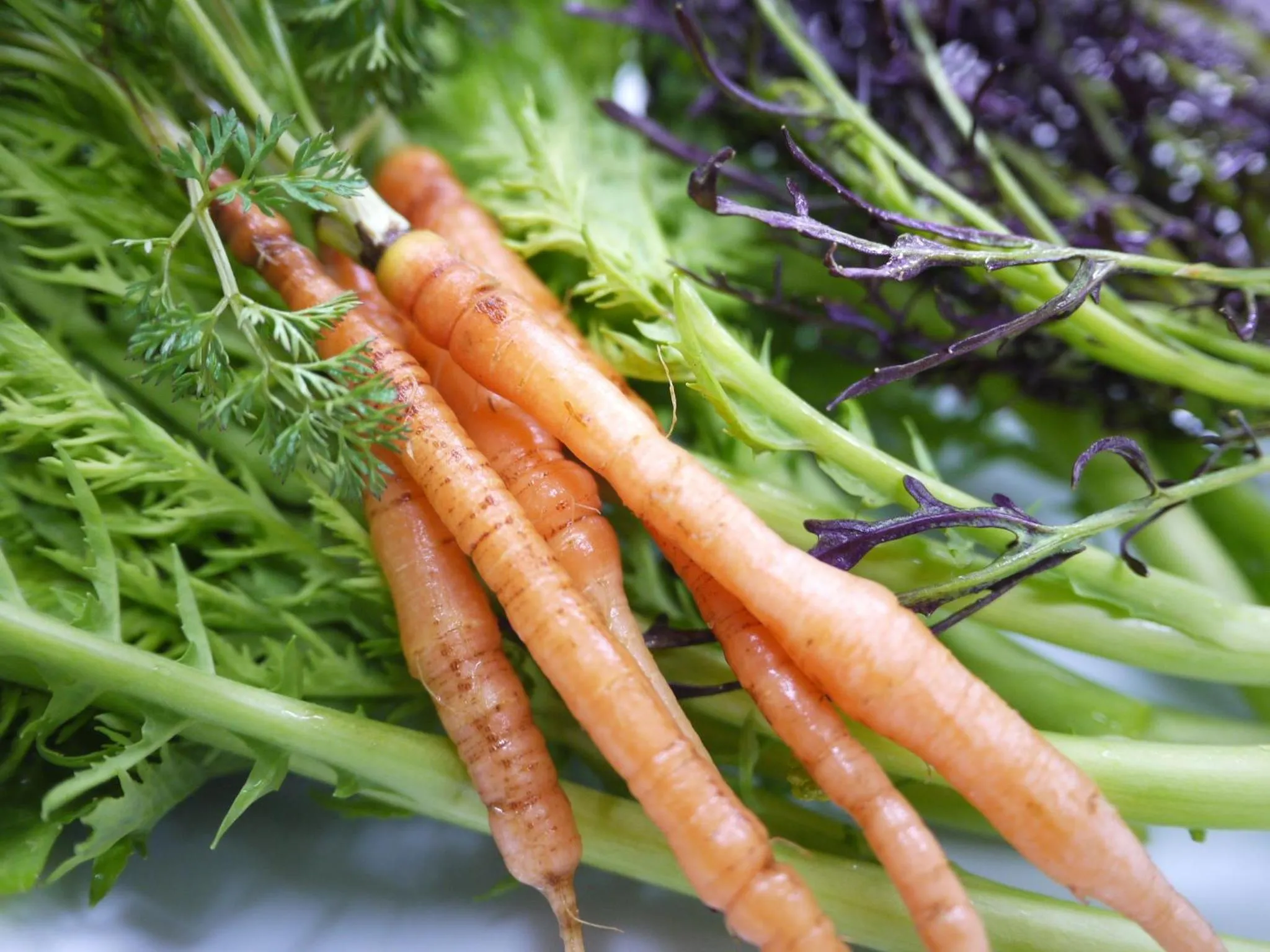 Food in Petit Resort Hotel Alcyon