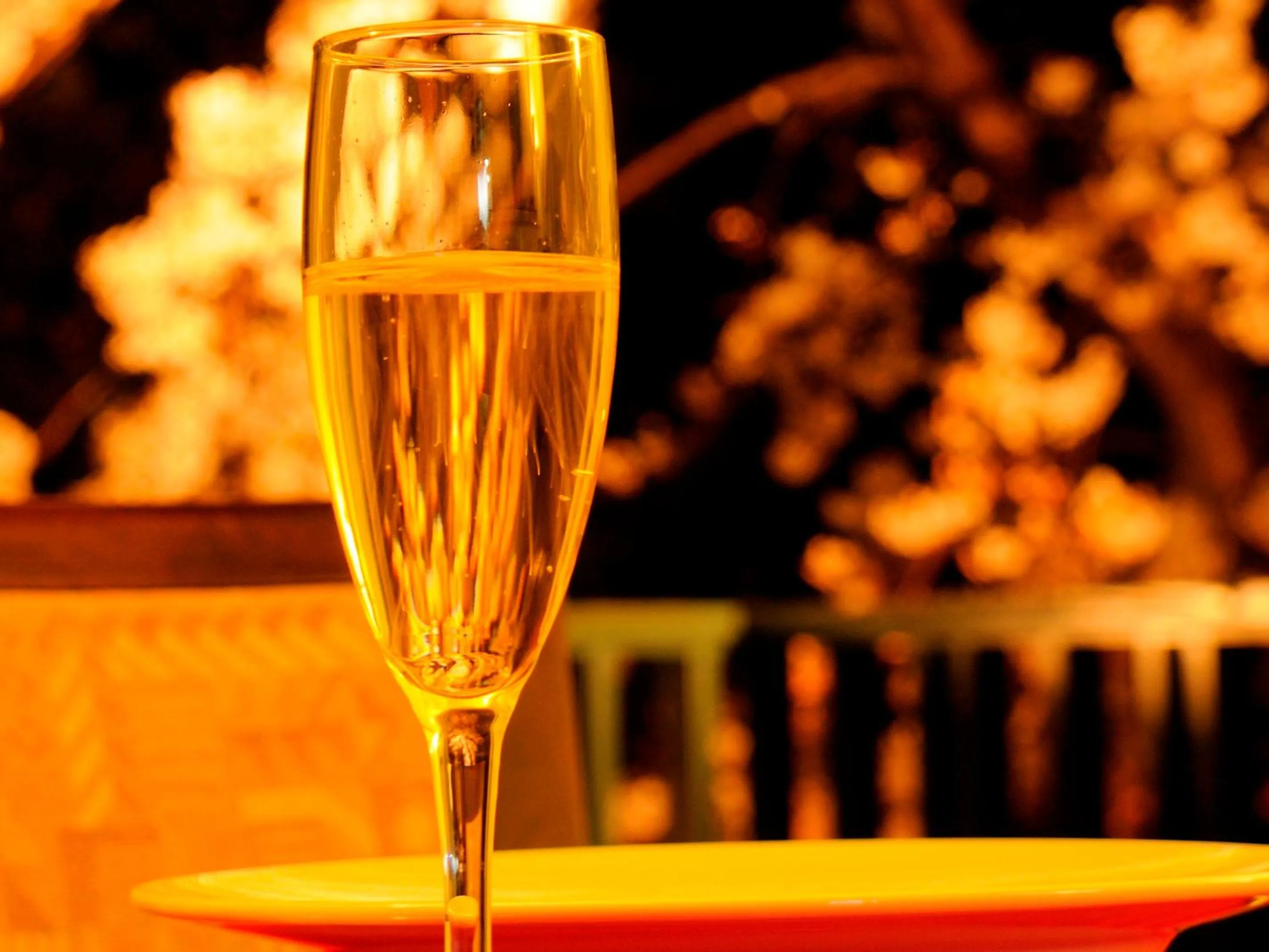 Drinks in Petit Resort Hotel Alcyon