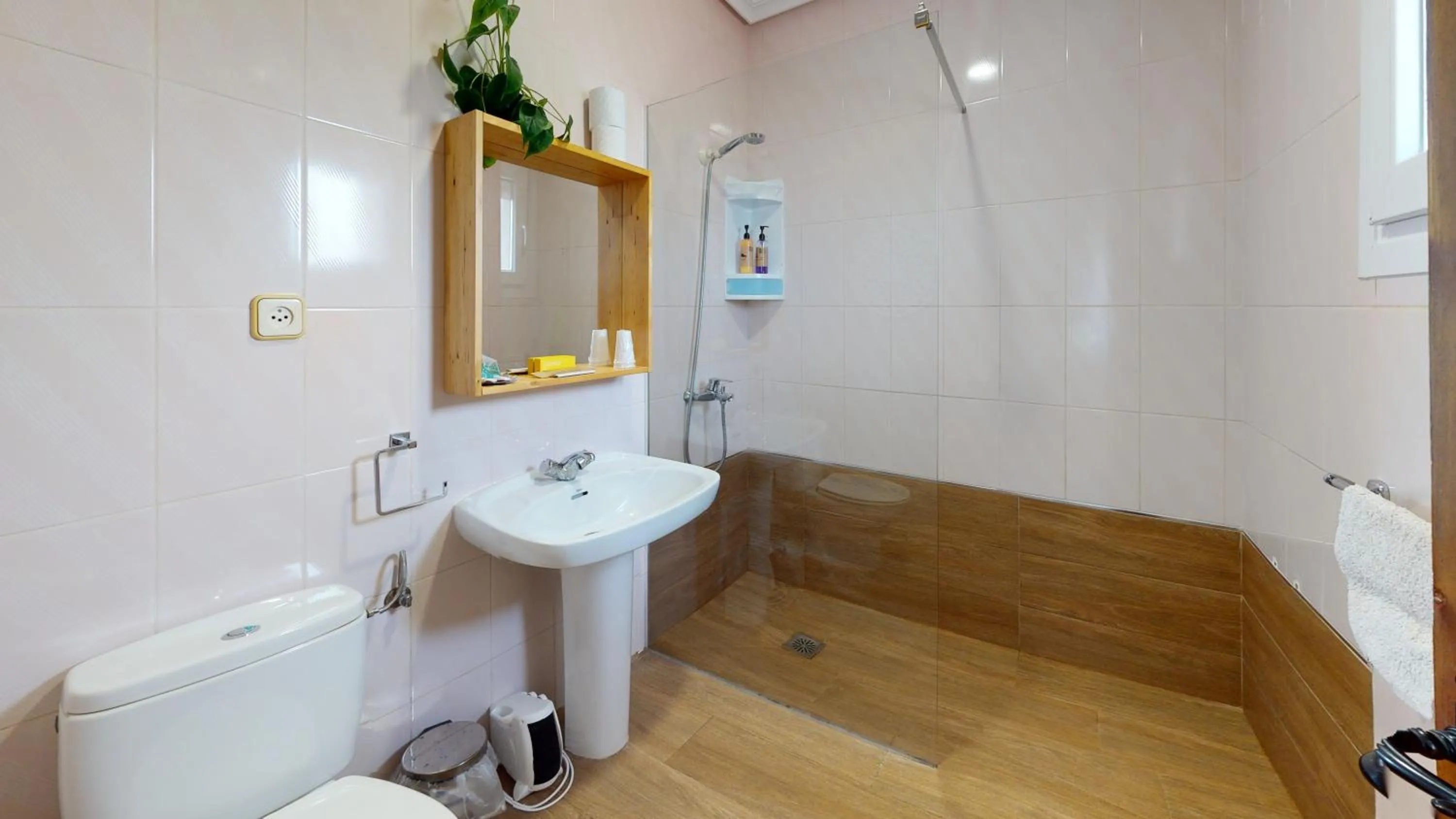 Shower in Hotel Consuegra