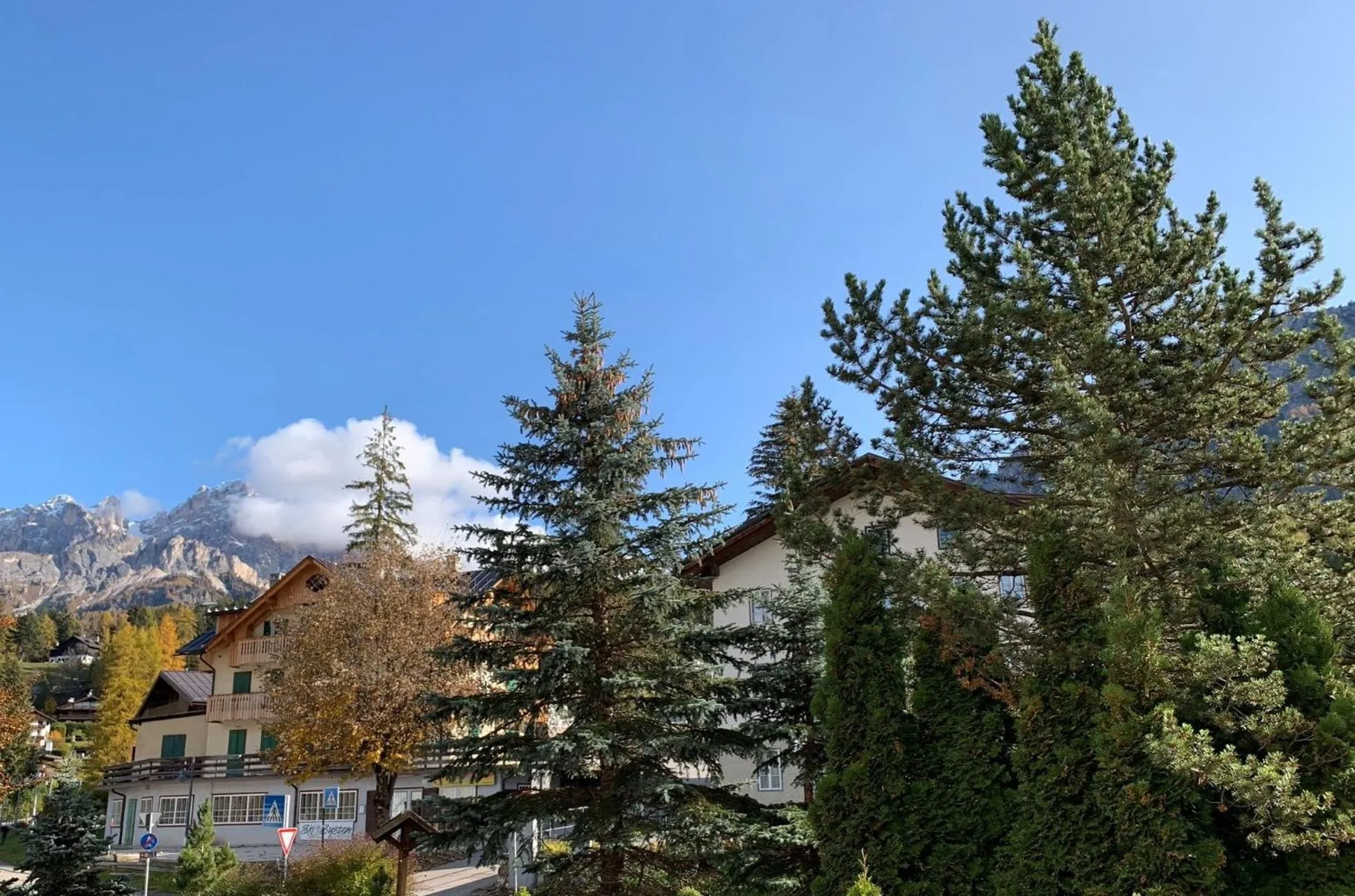 View (from property/room) in Hotel Serena Cortina