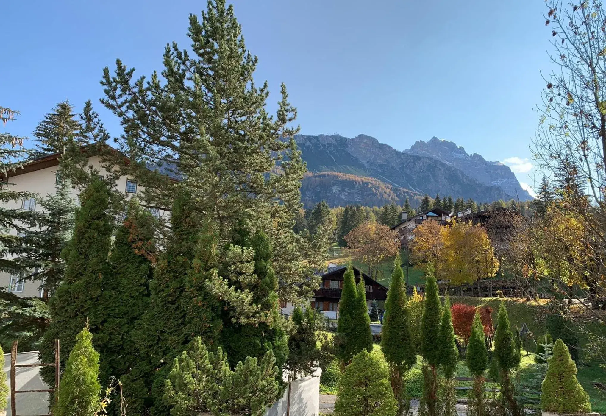 View (from property/room) in Hotel Serena Cortina View (from property/room) in Hotel Serena Cortina