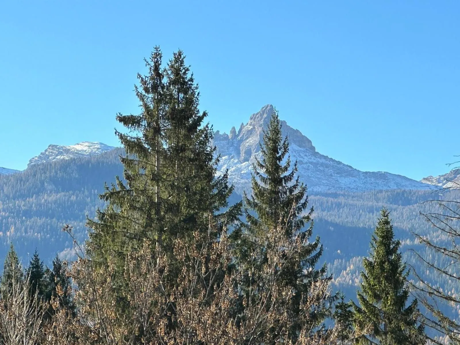 Balcony/Terrace in Hotel Serena Cortina