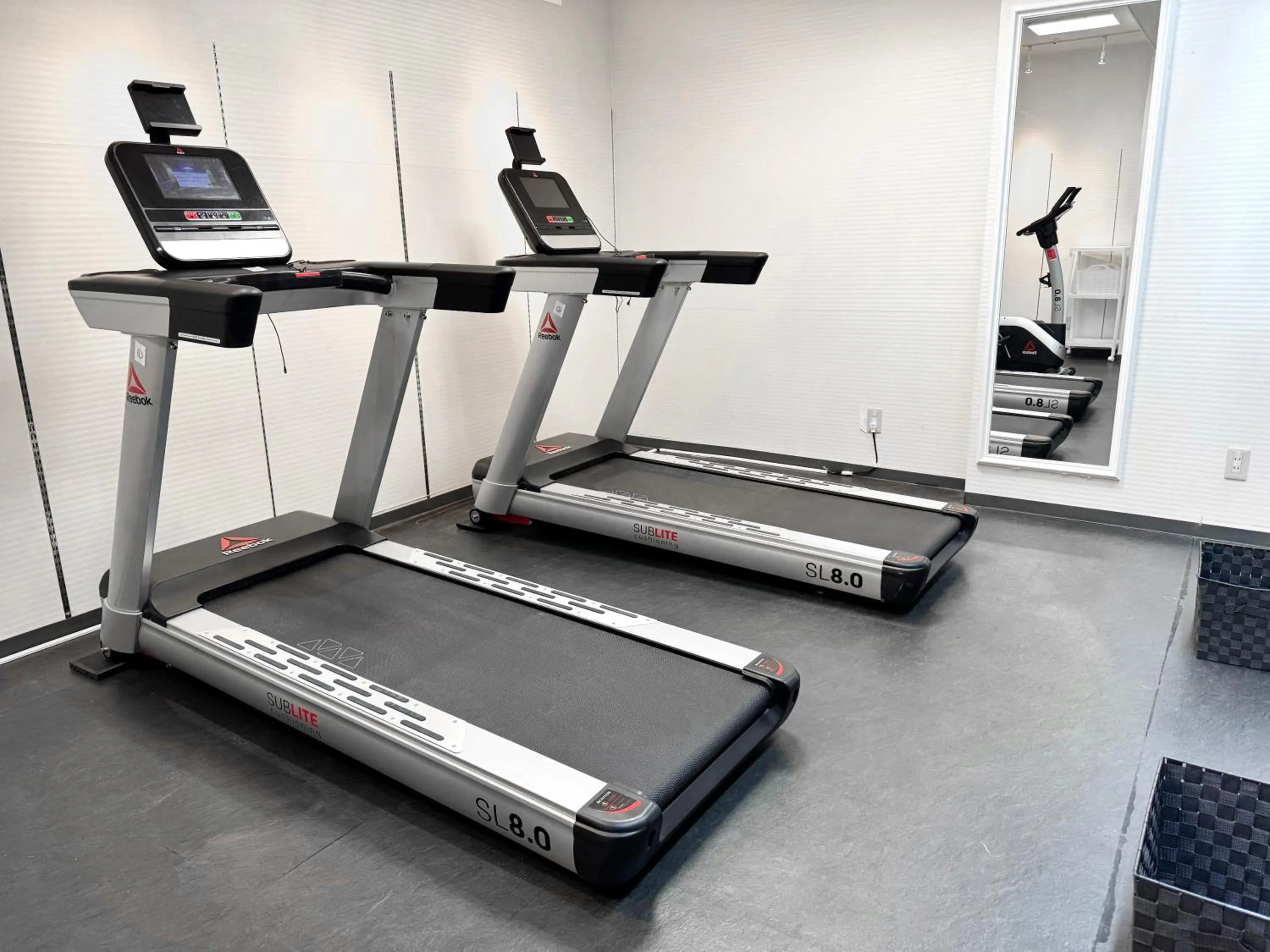 Sports in Art Hotel Narita