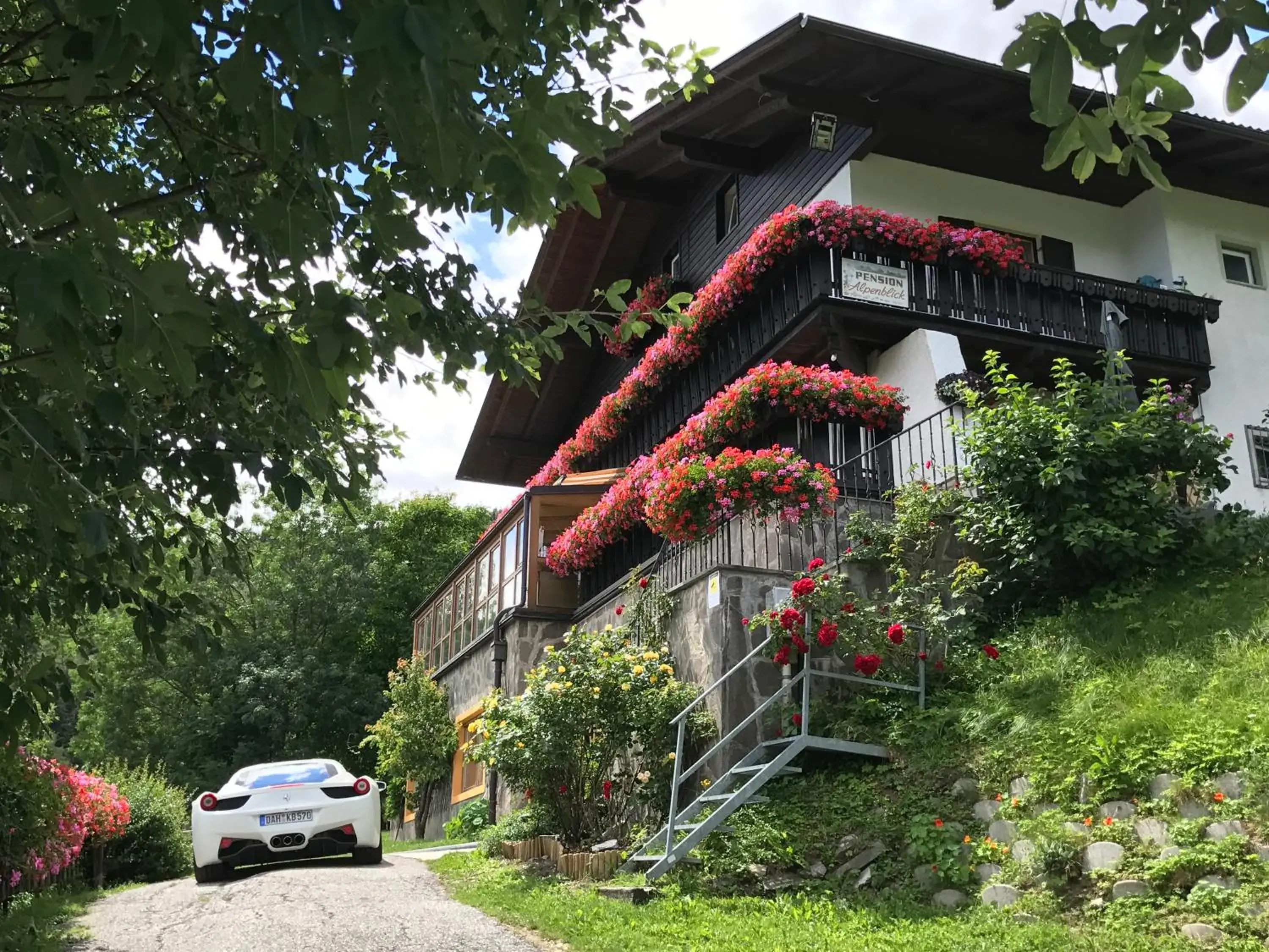 Alpenblick Bed & Breakfast Alpenblick Bed & Breakfast