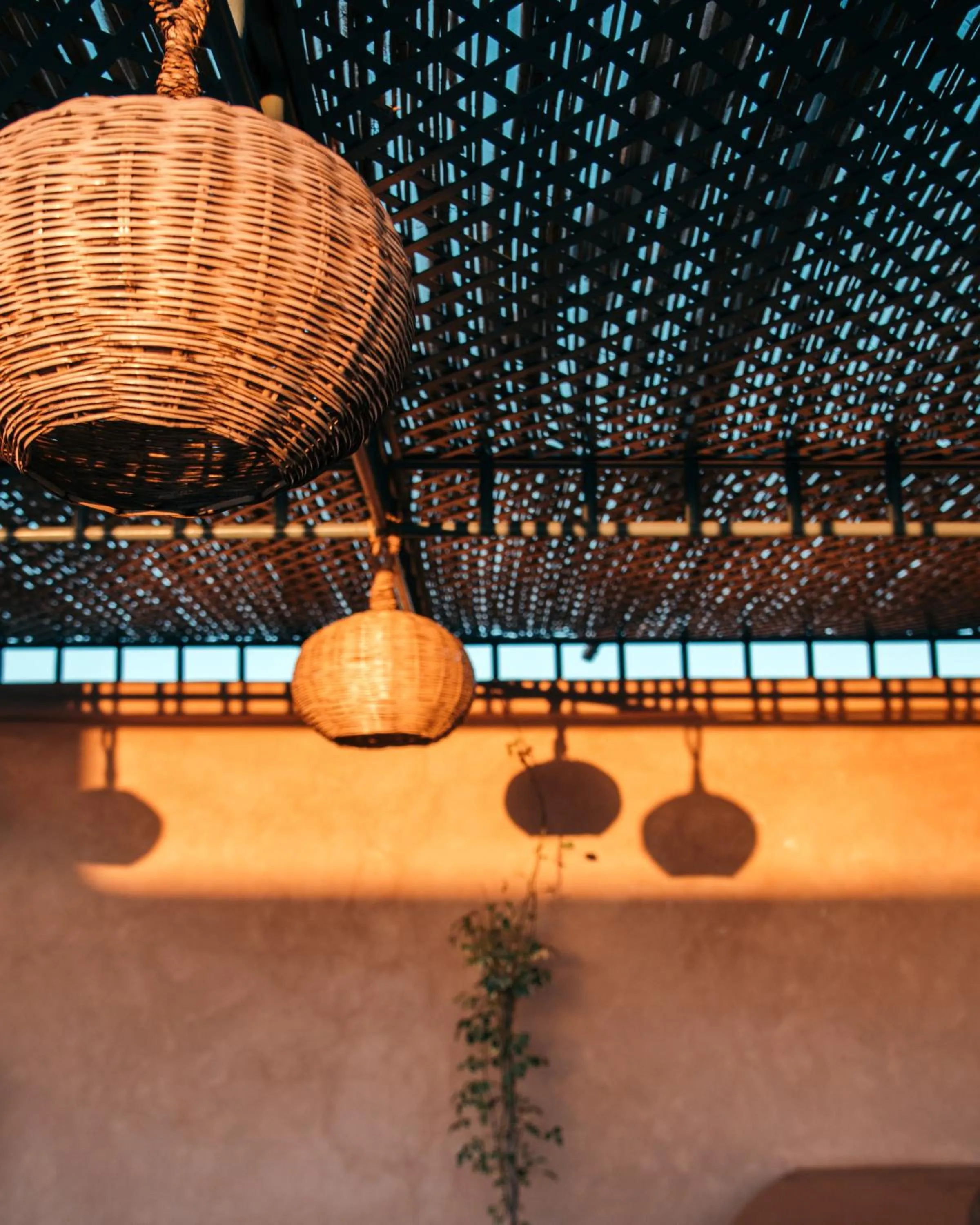 Balcony/Terrace in Riad Albatoul