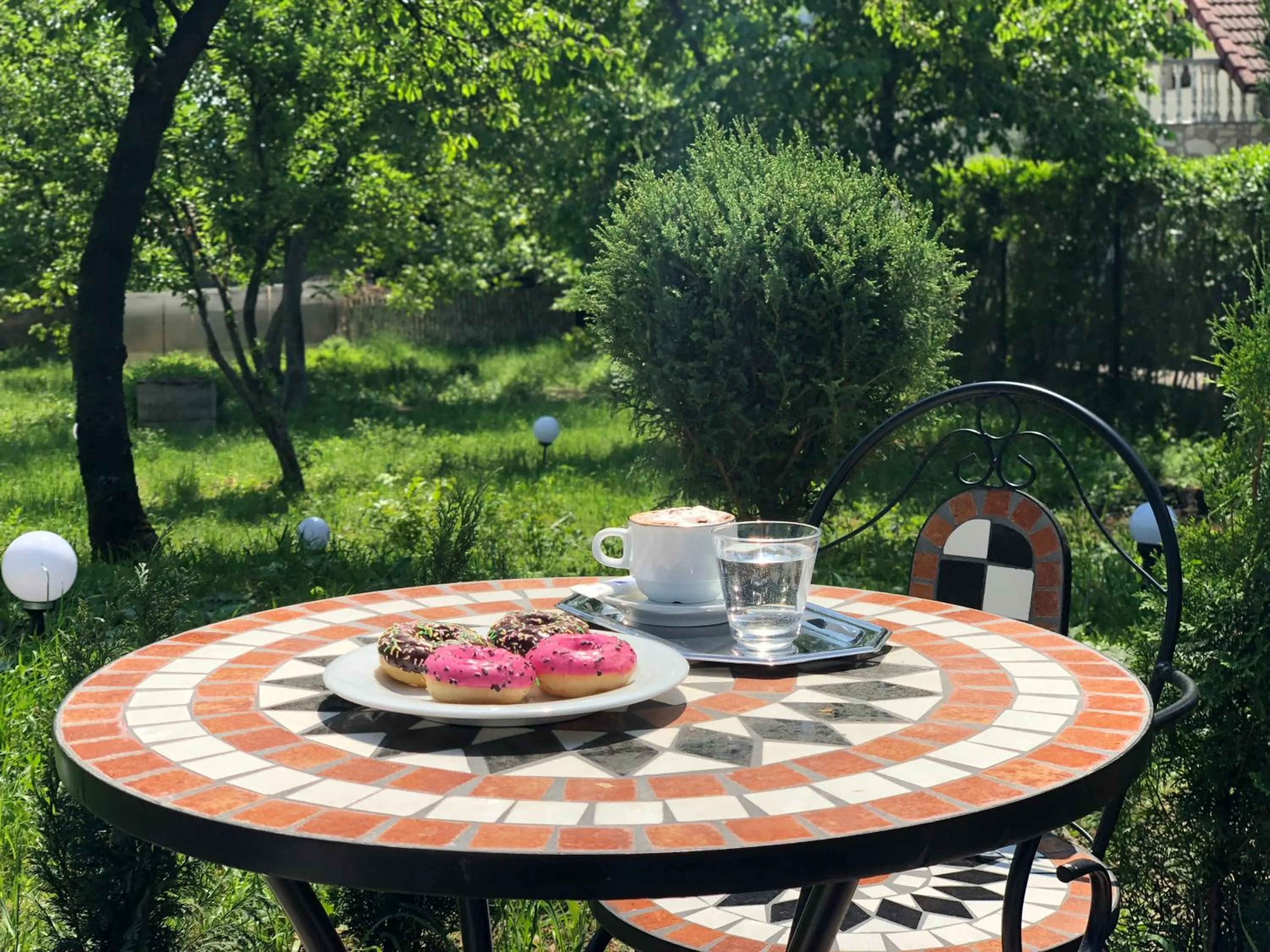 Garden in Hotel Athos R.M.T.