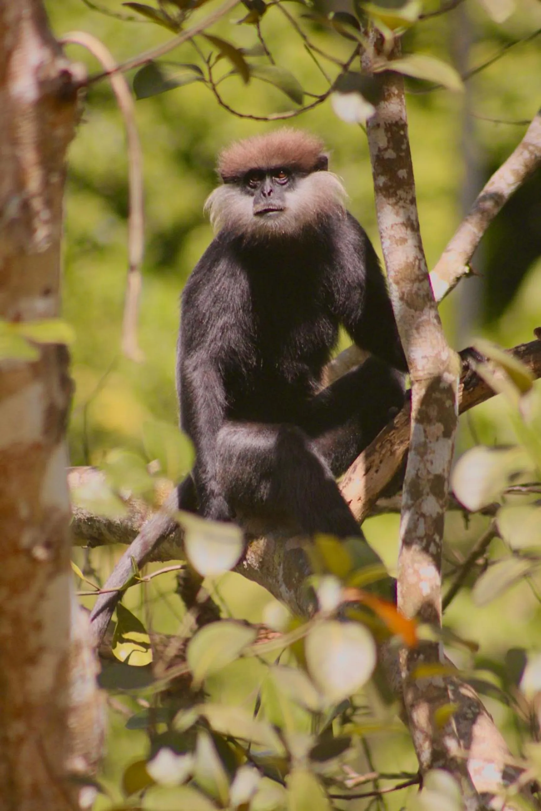 Natural landscape in The Jungle Loft Galle