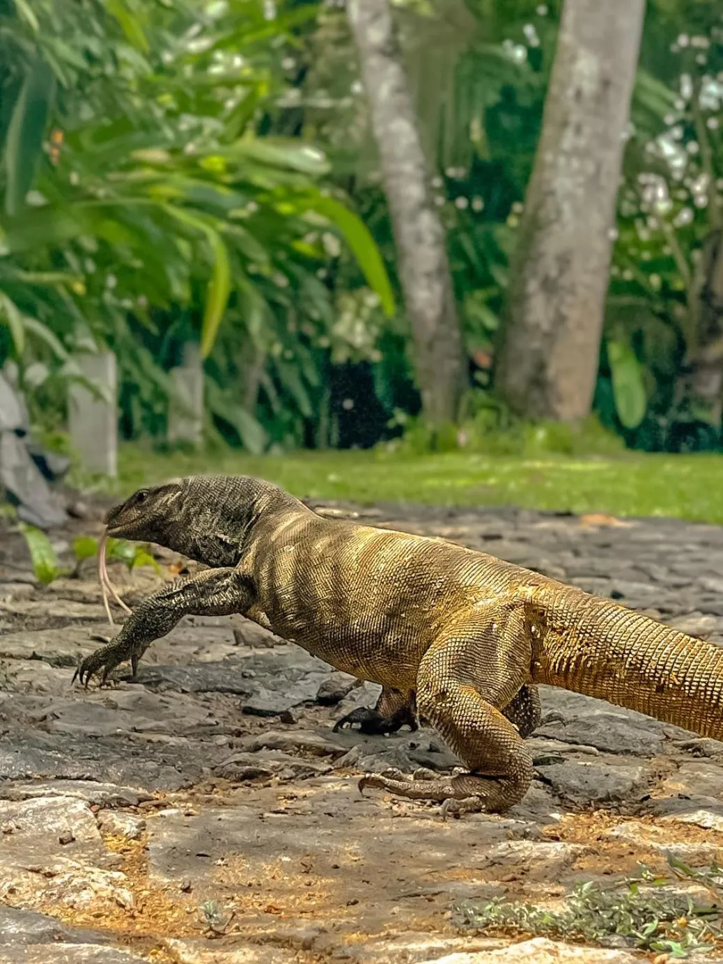 Natural landscape in The Jungle Loft Galle