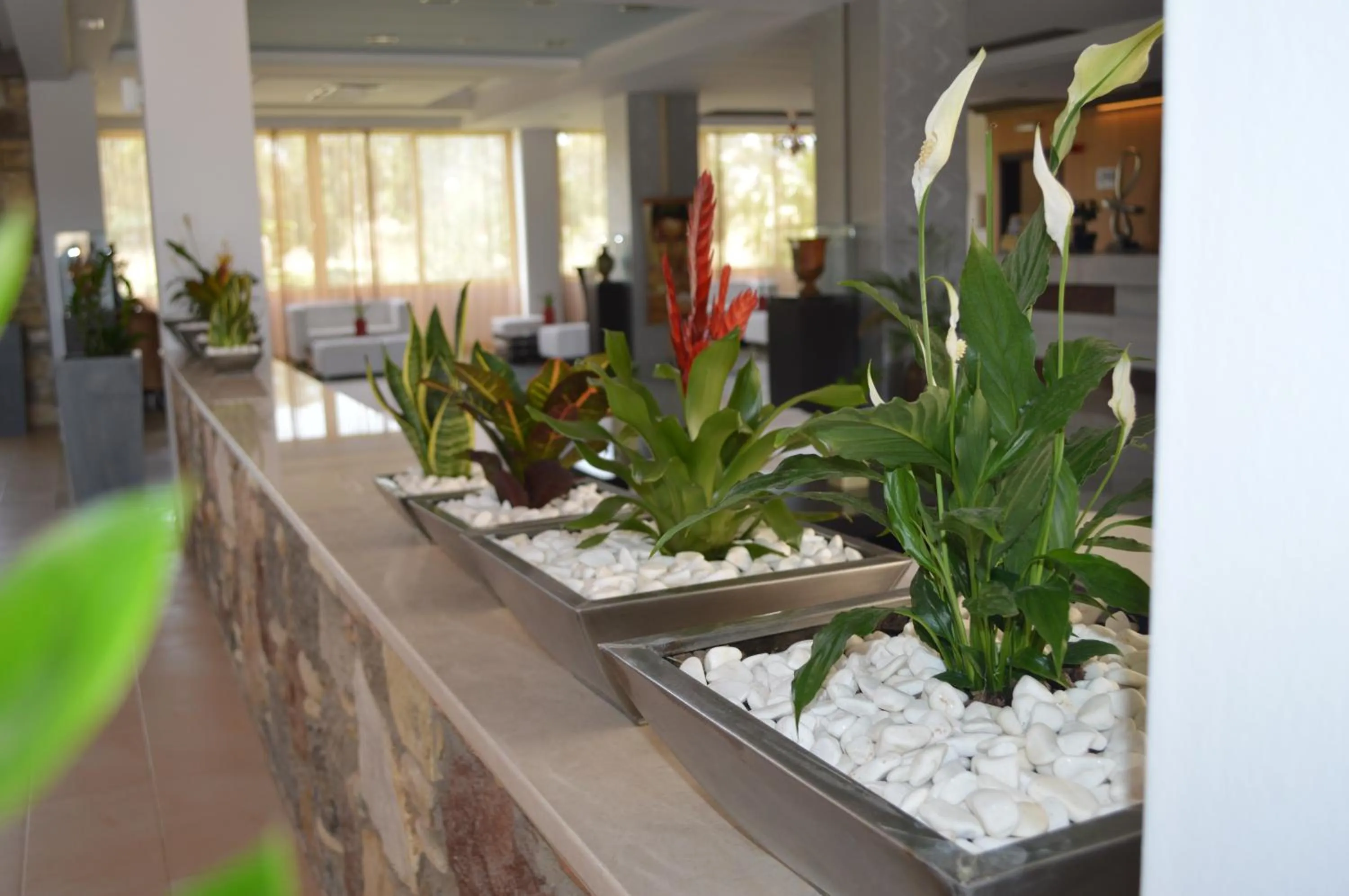 Lobby or reception in Natura Park Village Hotel & Spa